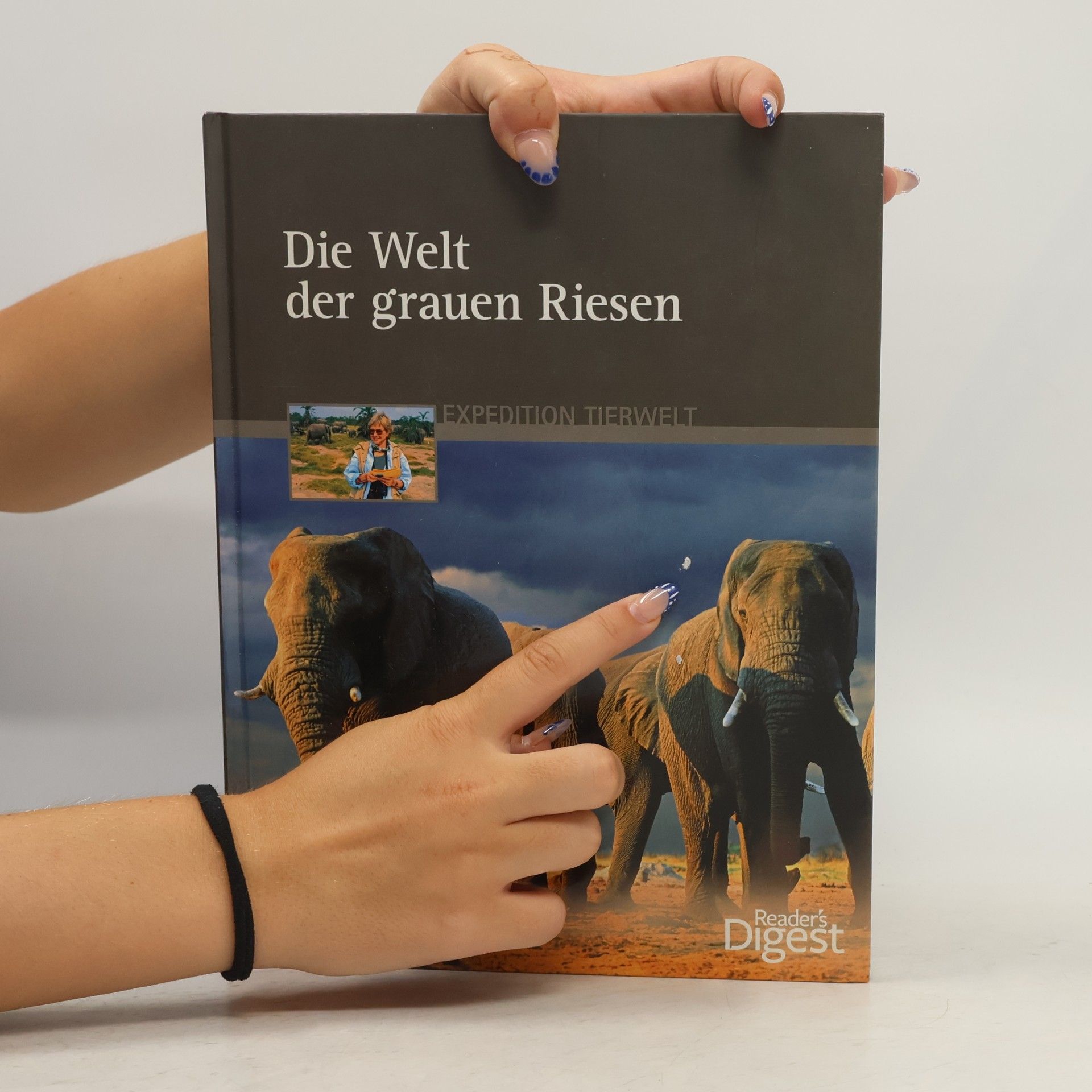 Kerstin Viering Die Welt der grauen Riesen