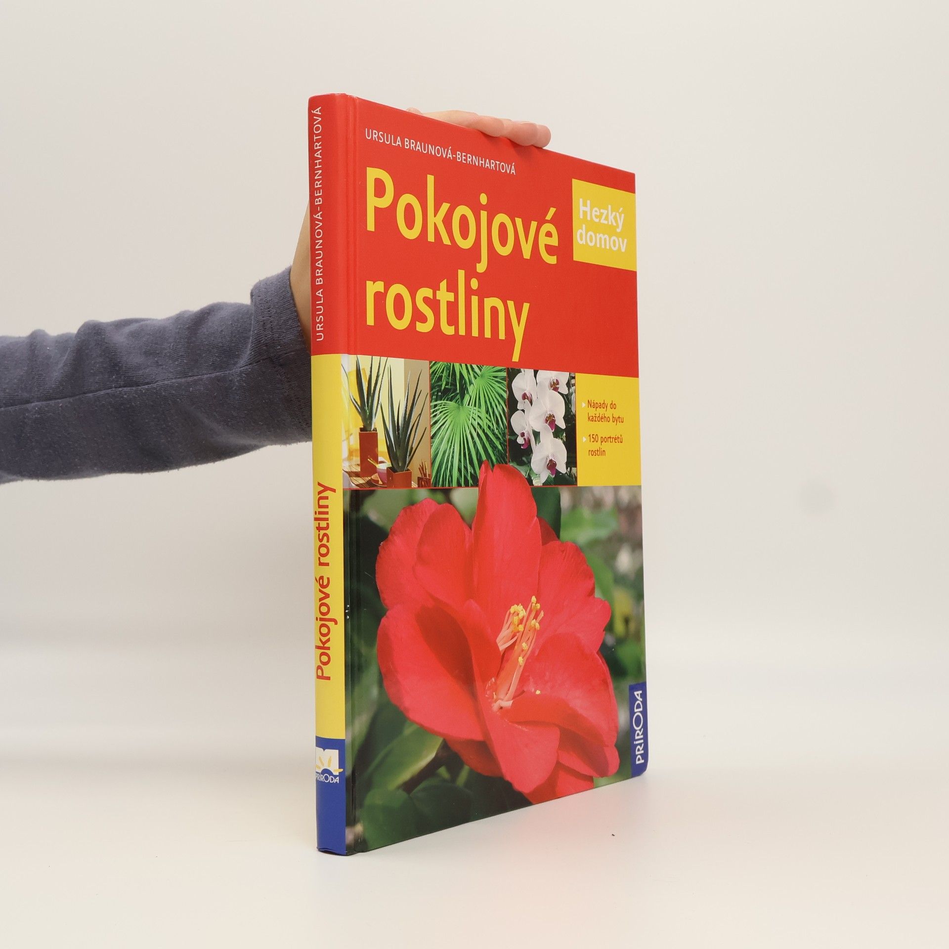 Ursula BraunBernhart Pokojové rostliny