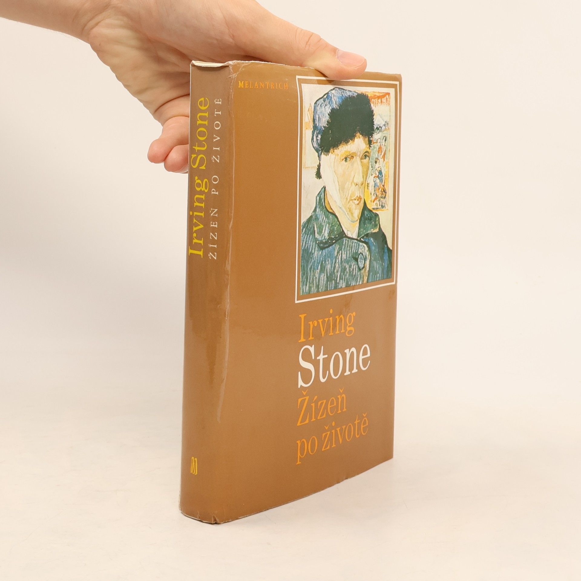 Irving Stone Žízeň po životě