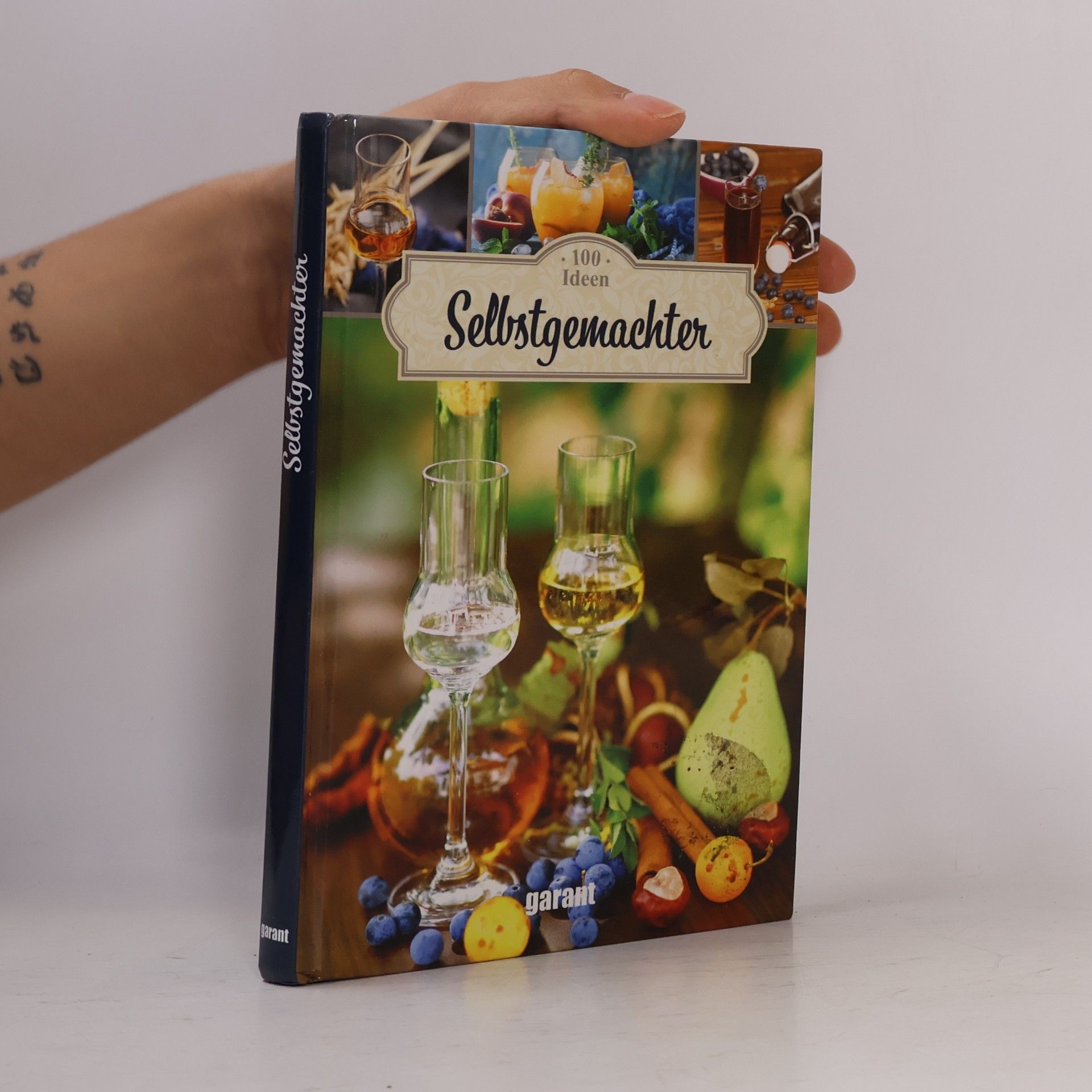 Various authors 100 Ideen Selbstgemachter