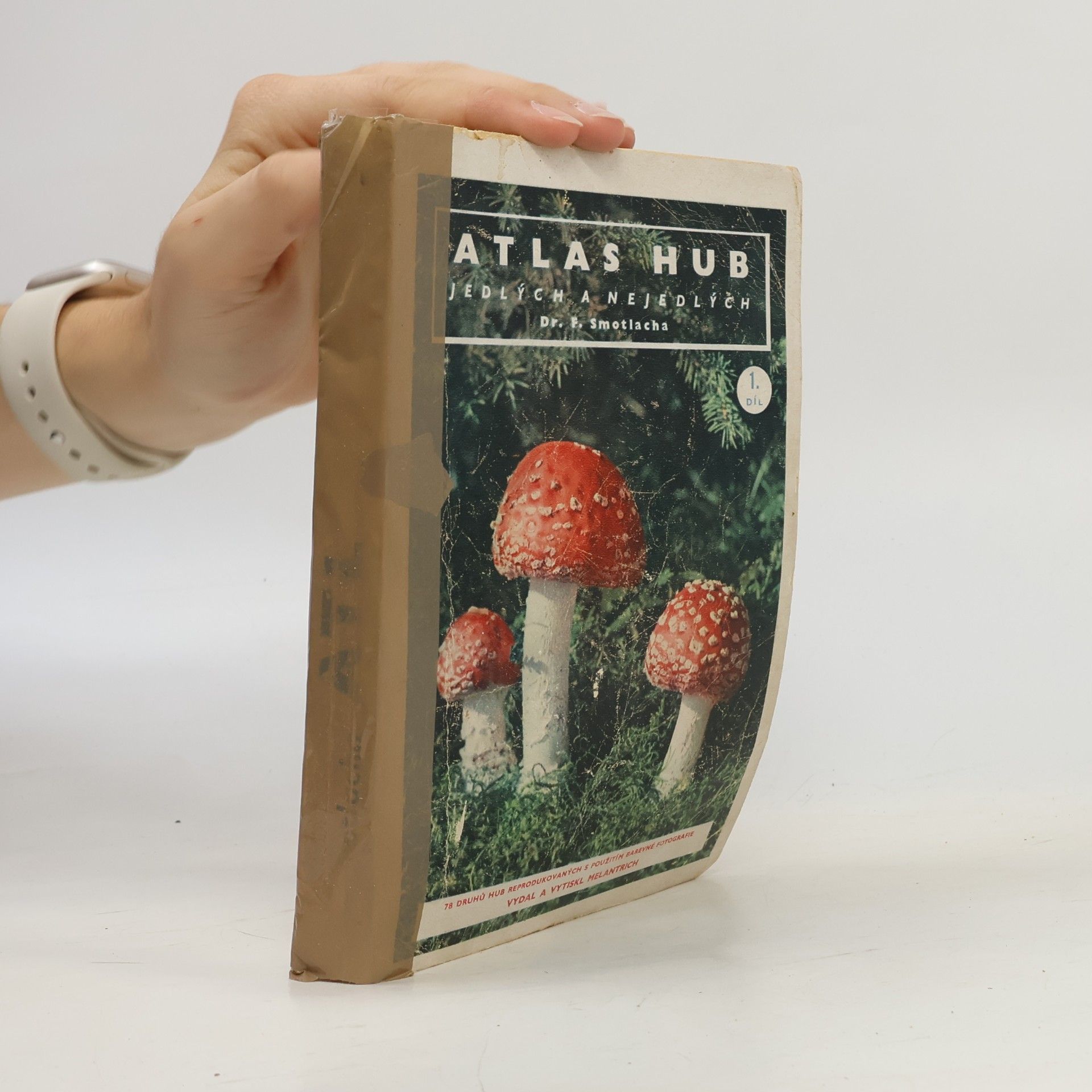 Smotlacha František Atlas hub jedlých a nejedlých. Mycologia practica