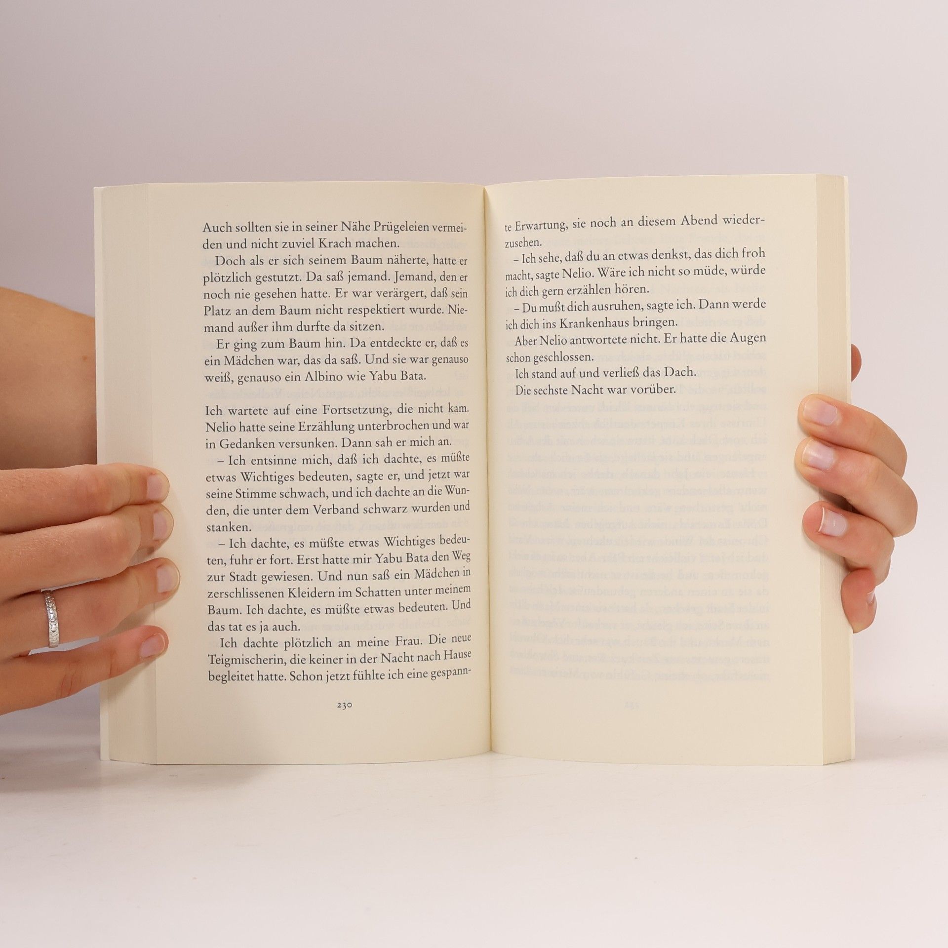 Henning Mankell Der Chronist der Winde
