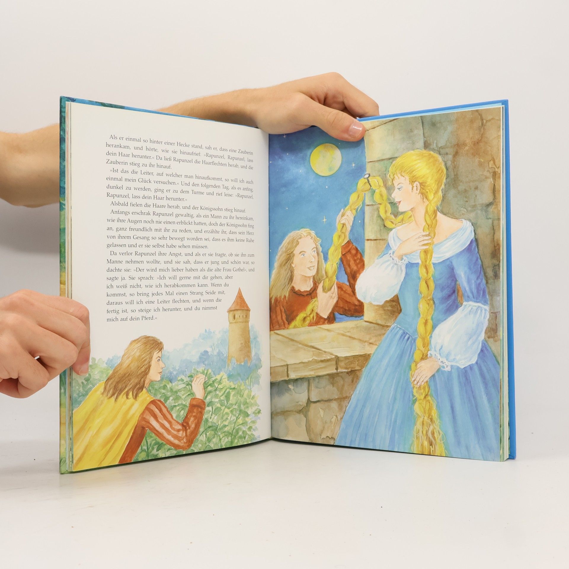 Autorenkollektiv Das große Märchenbuch