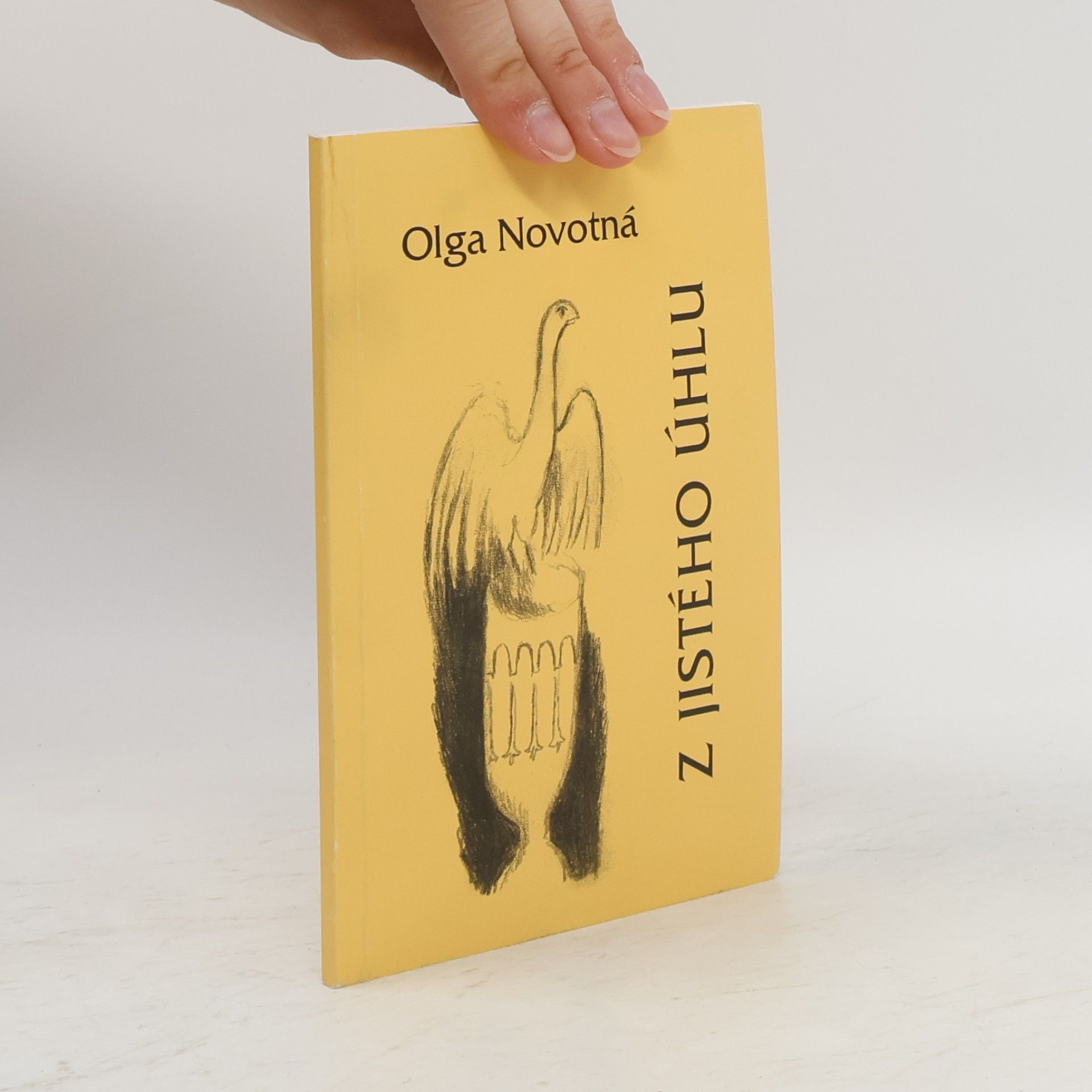 Olga Novotná Z jistého úhlu
