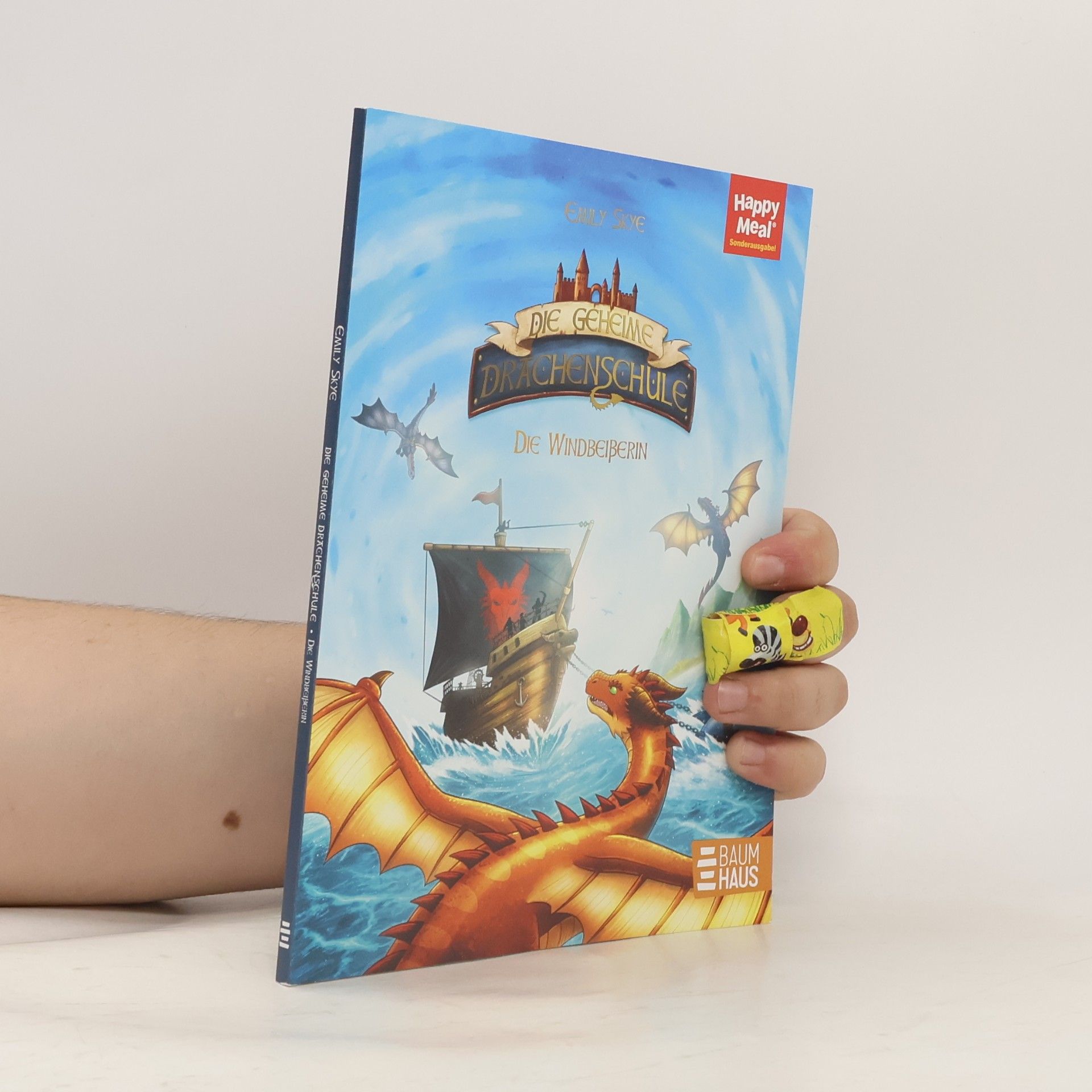 Emily Skye Die geheime Drachenschule