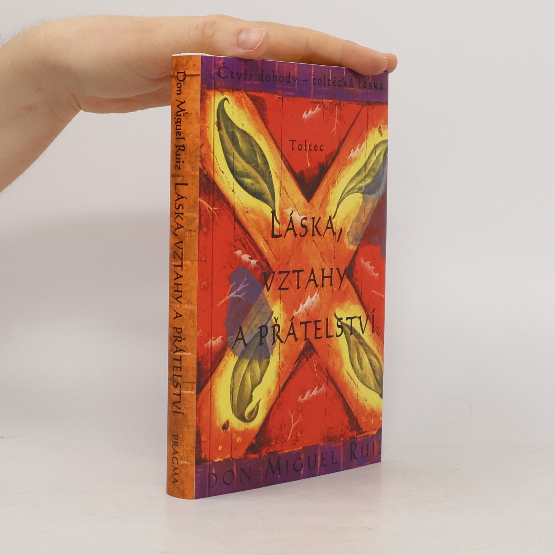 Don Miguel Ruiz Láska, vztahy a přátelství
