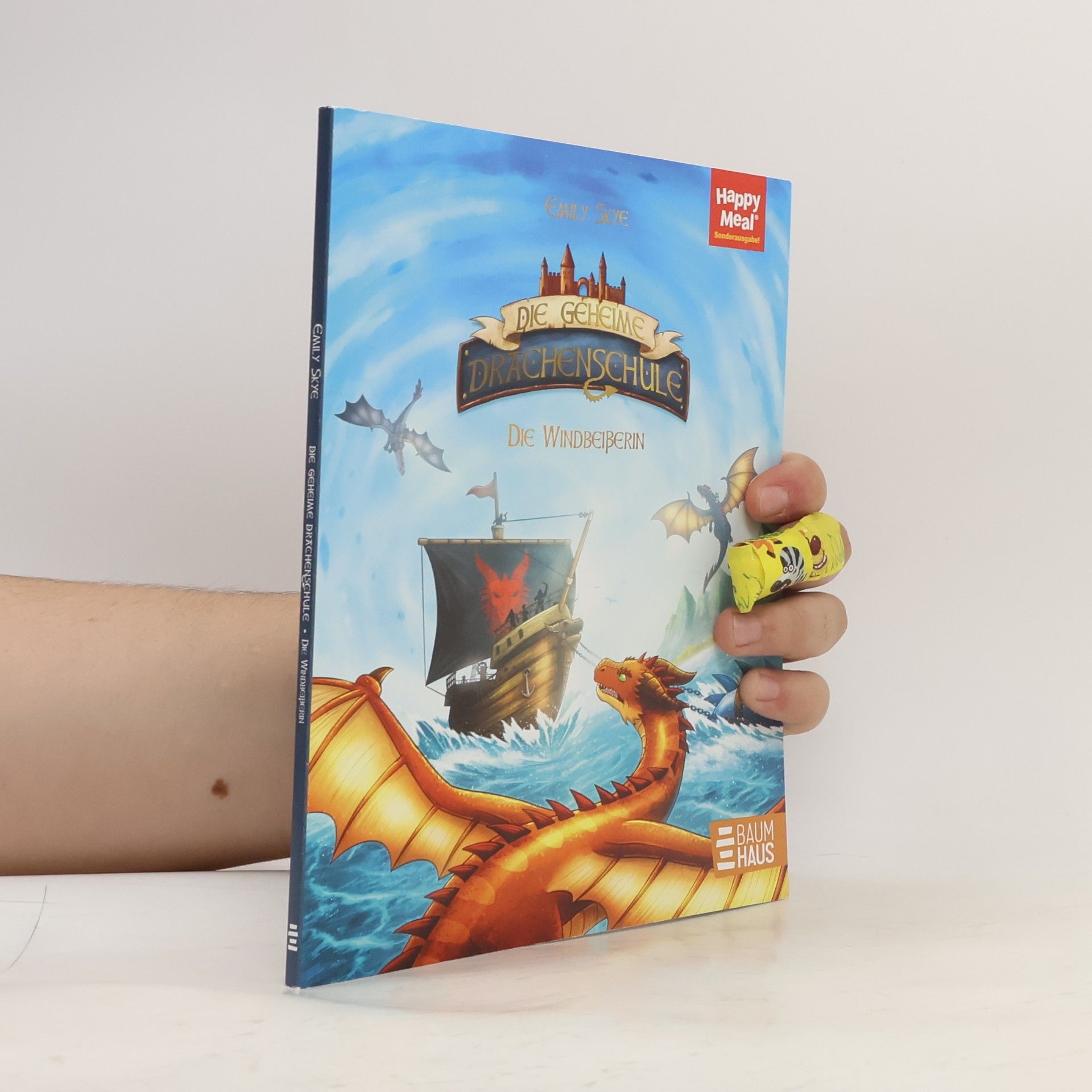 Die geheime Drachenschule