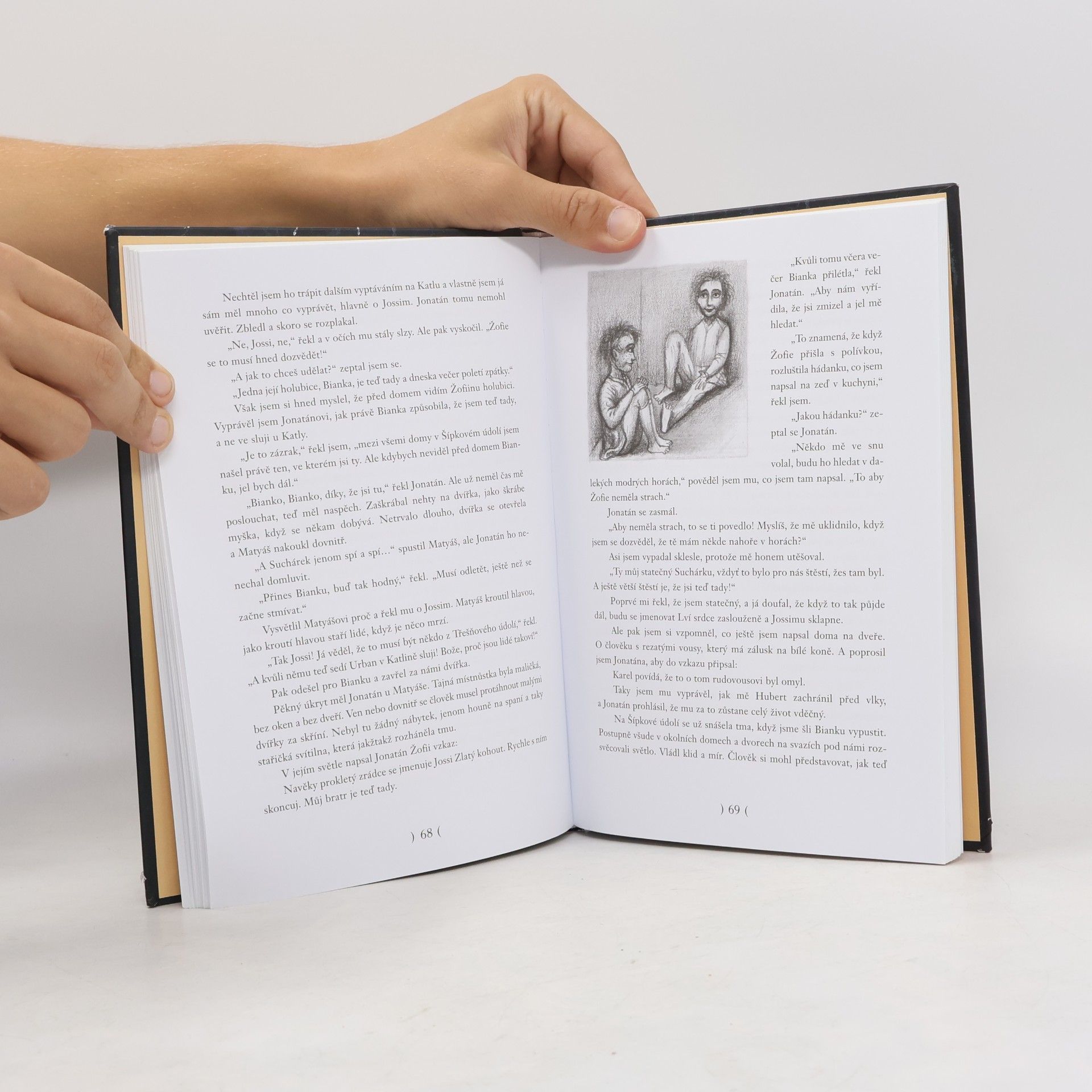 Astrid Lindgren Bratři Lví srdce