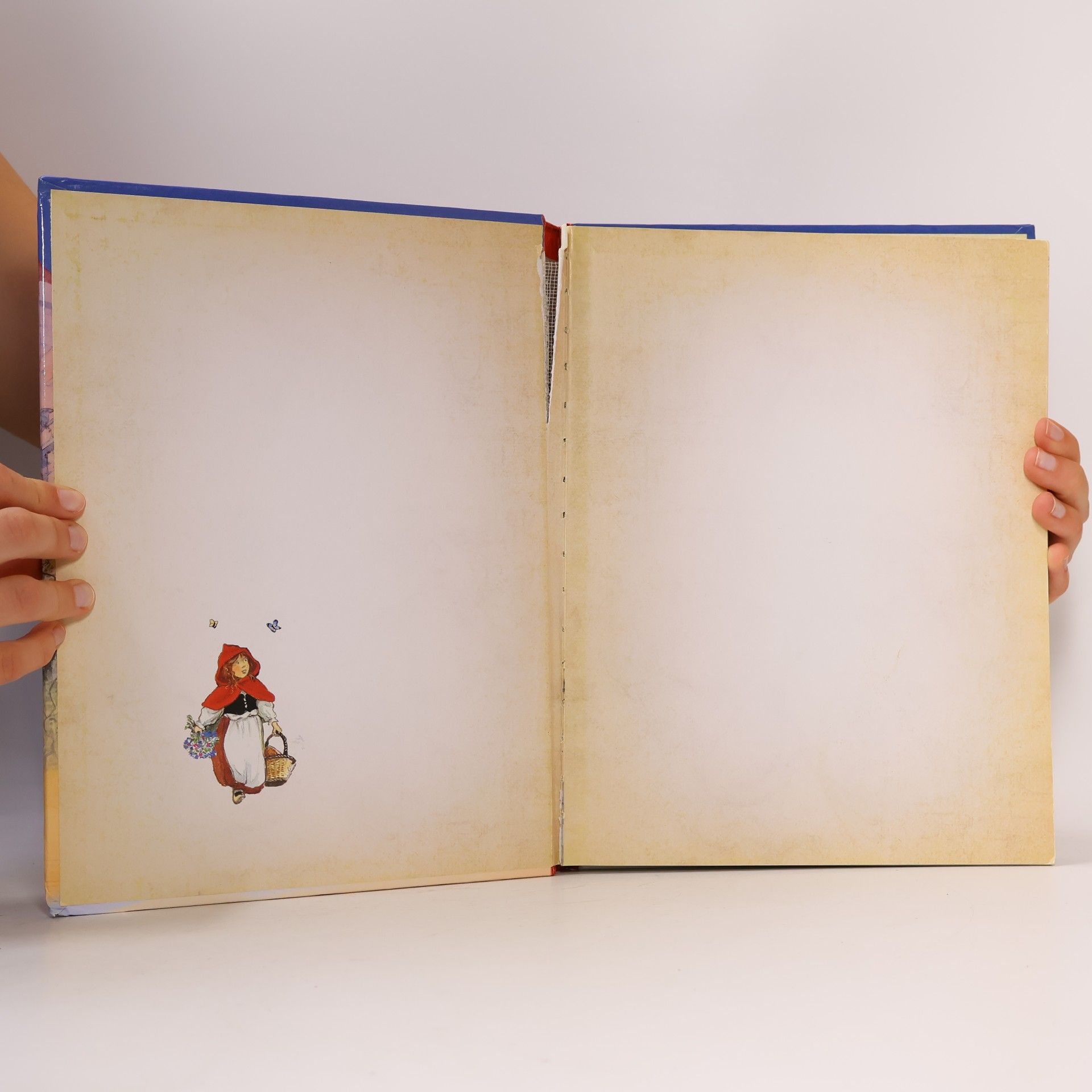 Autorenkollektiv Das große Buch der Märchen