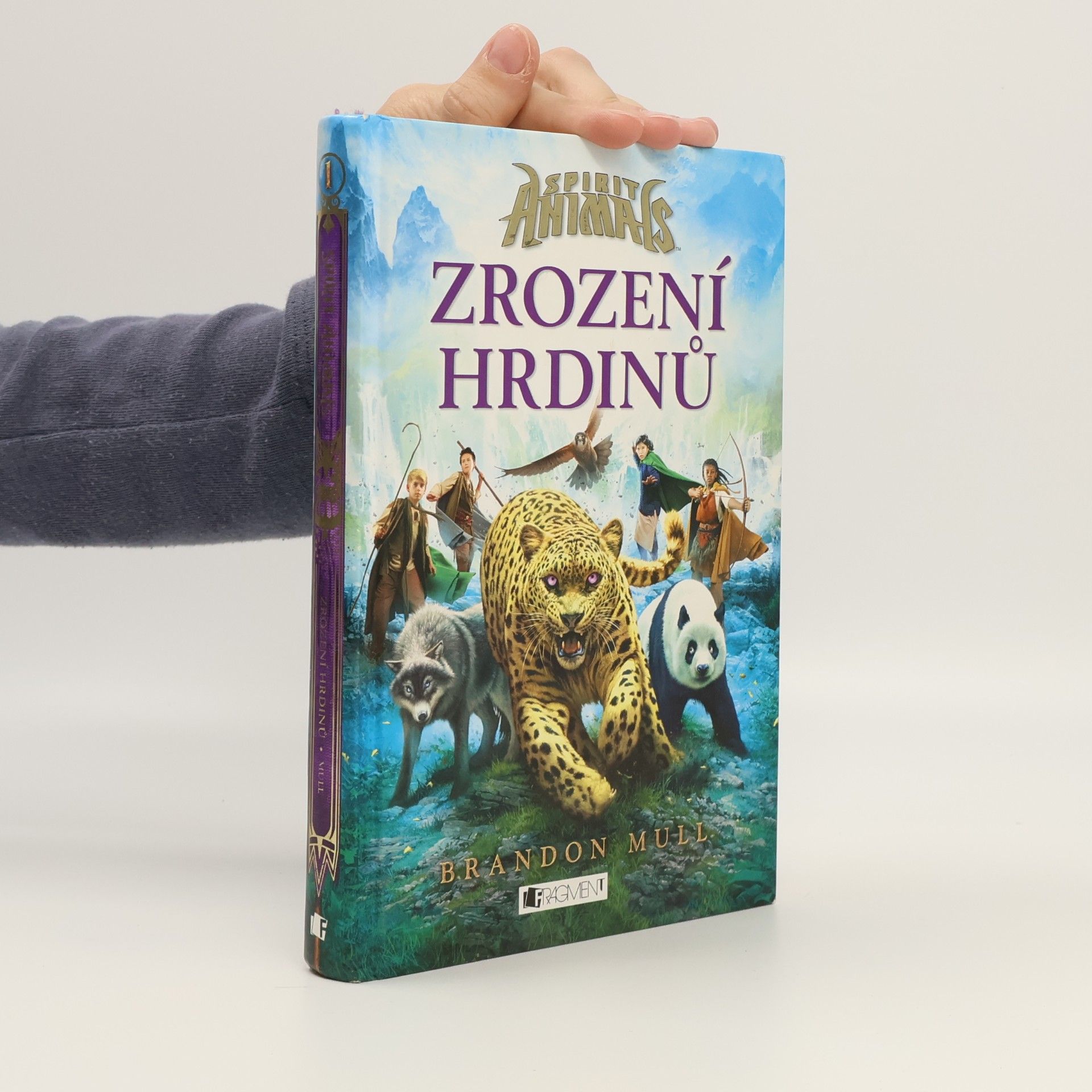 Brandon Mull Zrození hrdinů