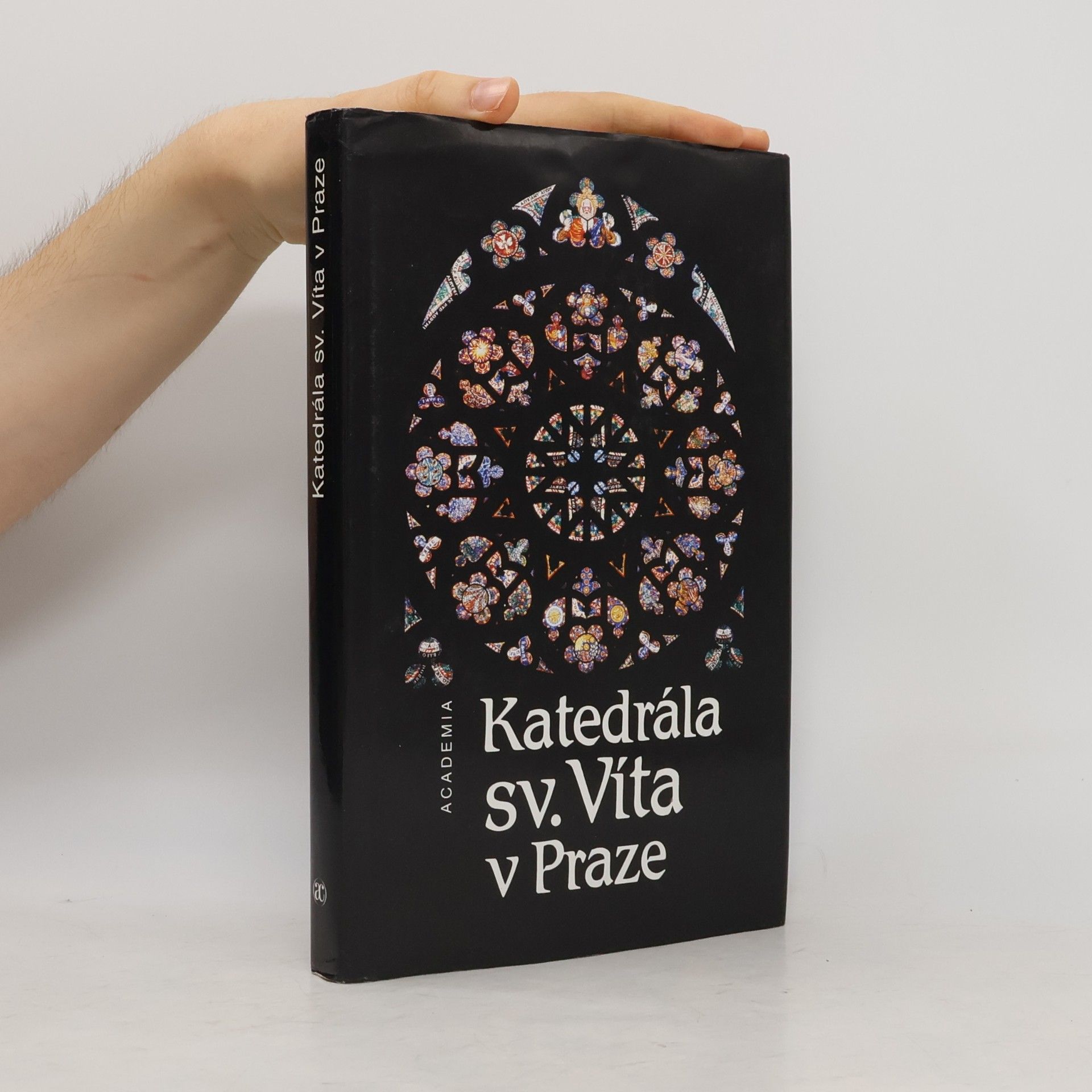 Prokop Paul Katedrála sv. Víta v Praze. K 650. výročí založení