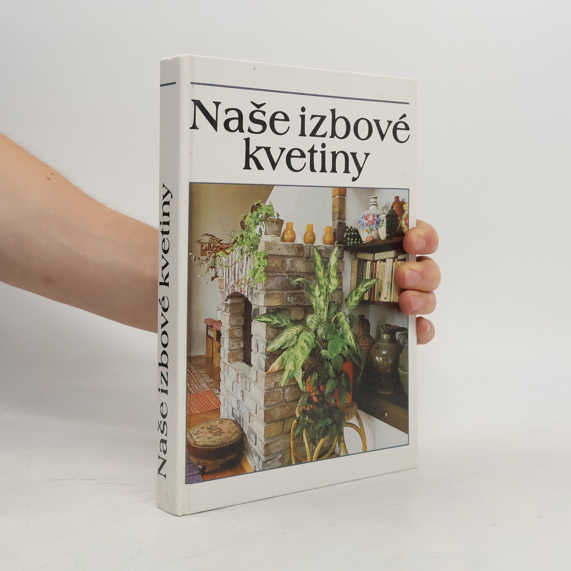 Lajos Lelkes Naše izbové kvetiny