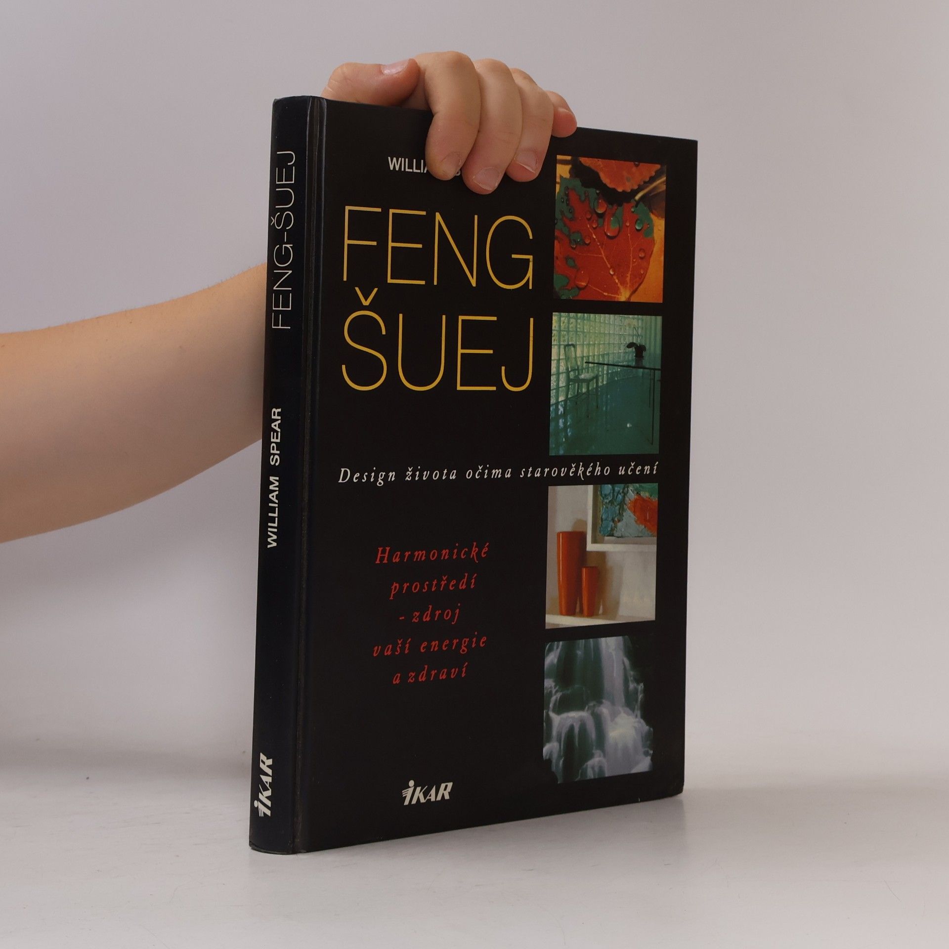 Zdeňka Vasiljevová Feng šuej