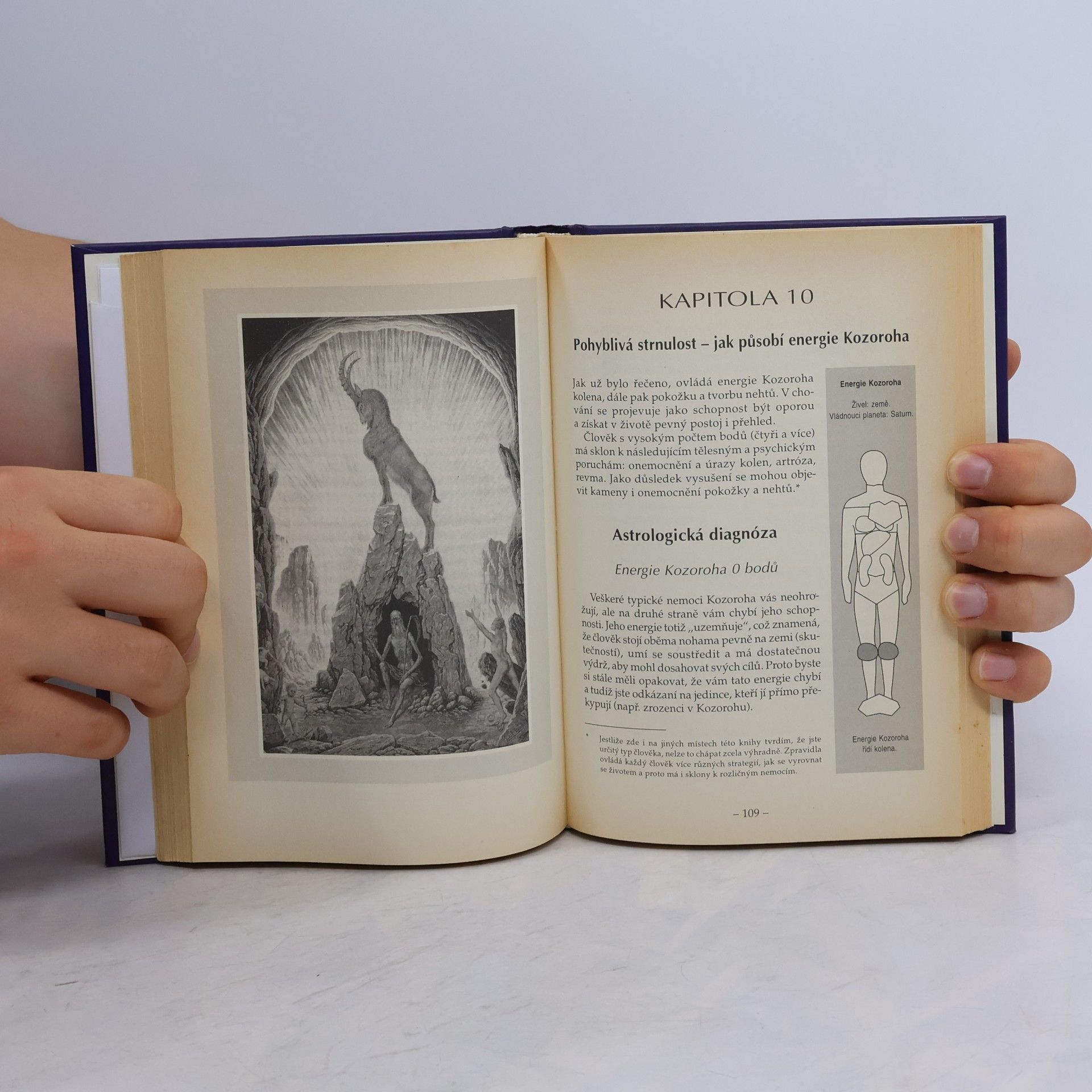Erich Bauer Astrologie a zdraví. Diagnostika nemocí podle jednotlivých znamení zvěrokruhu
