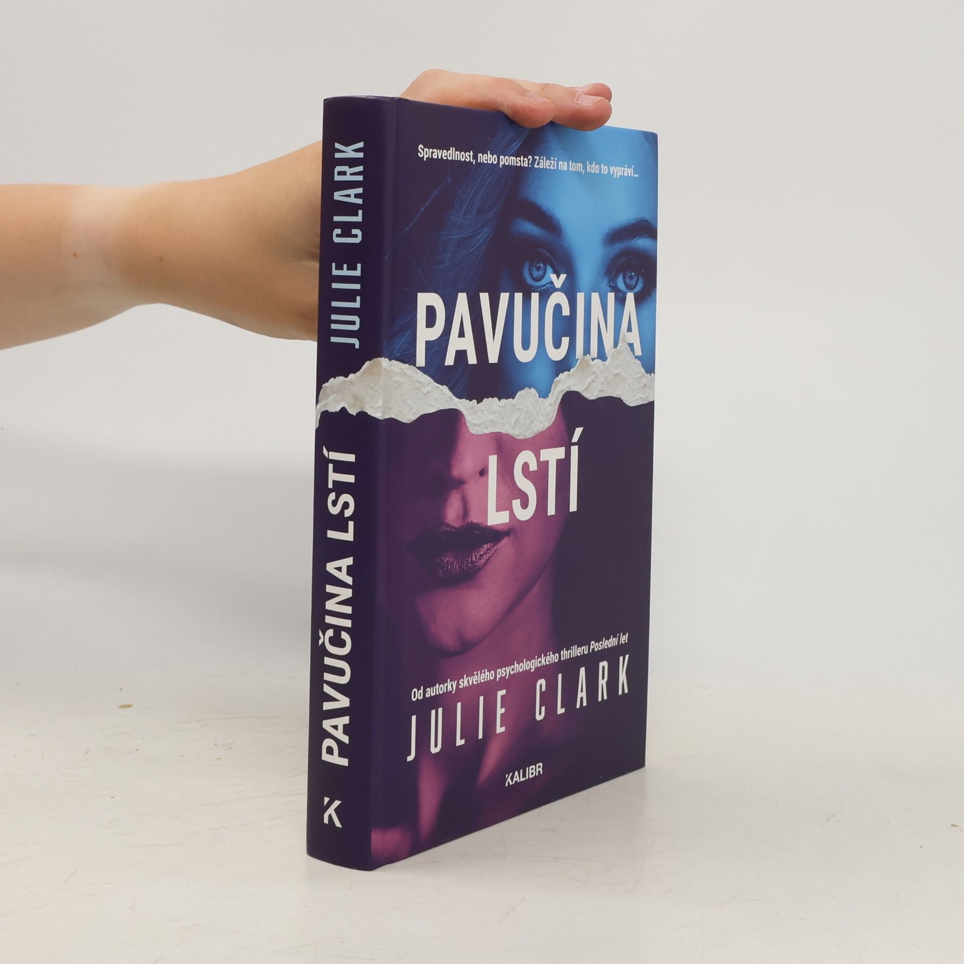 Julie Clark Pavučina lstí
