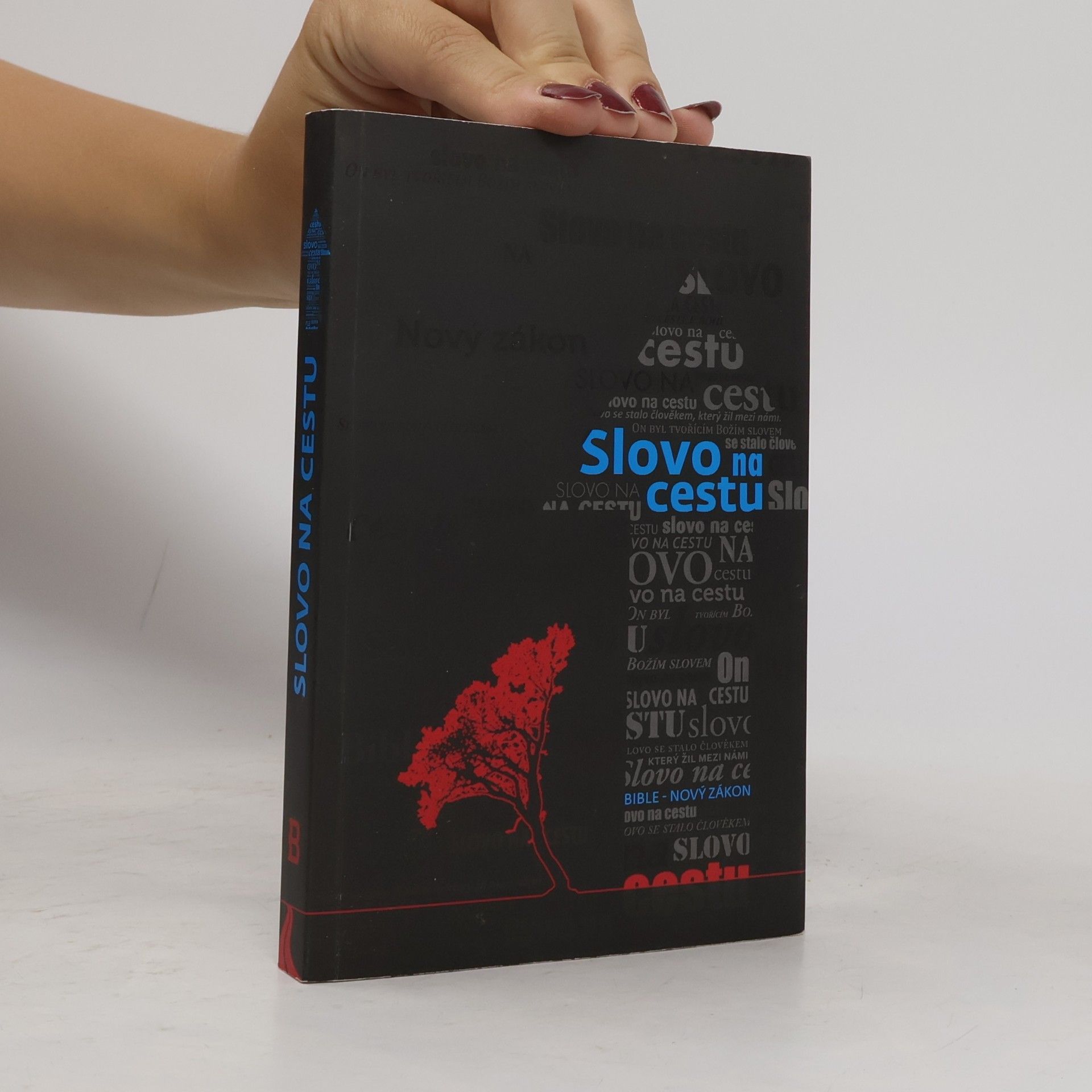 Kolektiv autorů Slovo na cestu. Nový zákon s ilustracemi