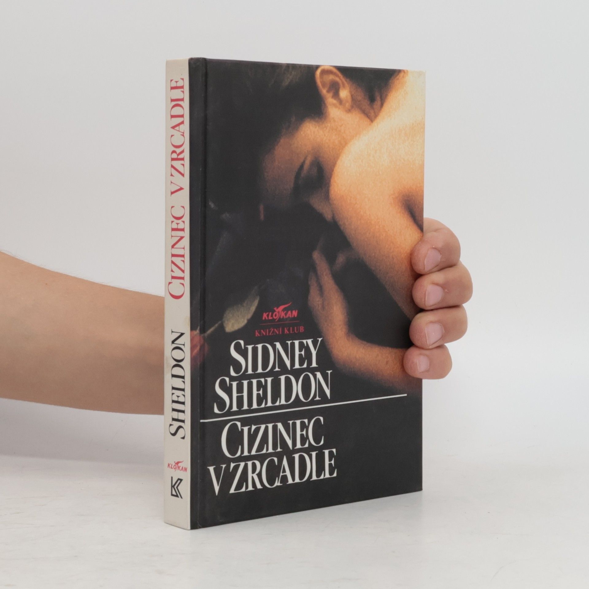 Sidney Sheldon Cizinec v zrcadle