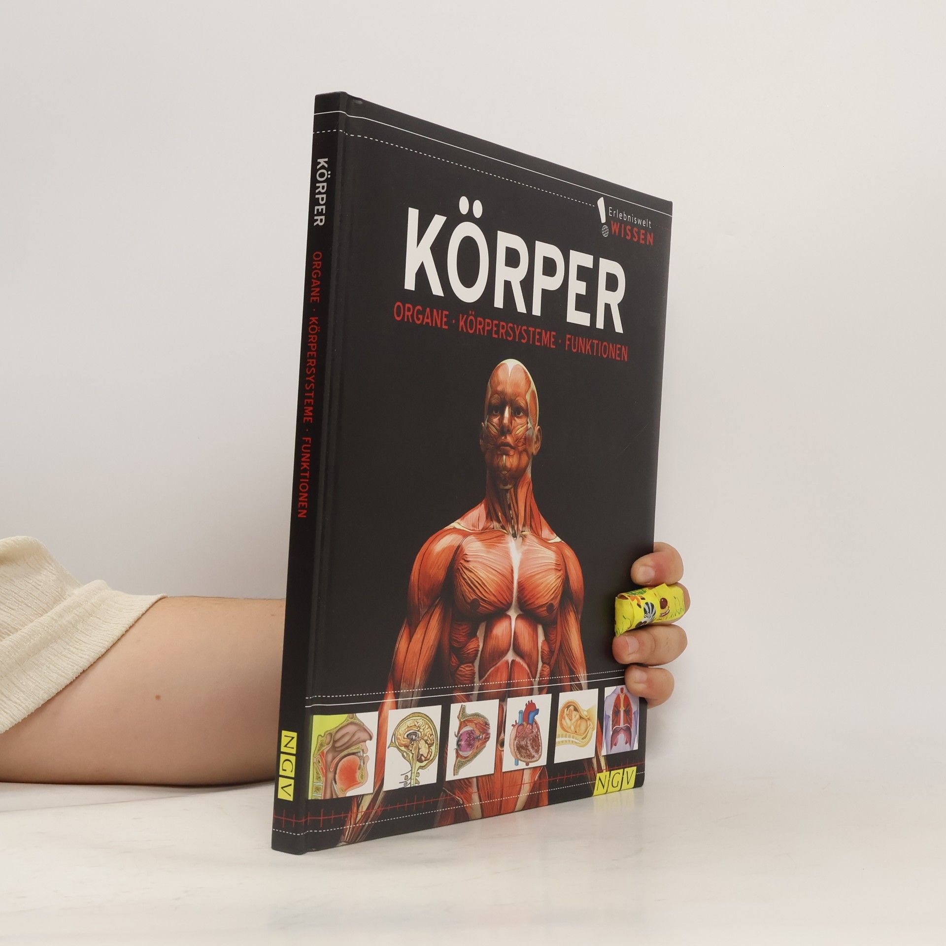 Kolektív autorov Körper