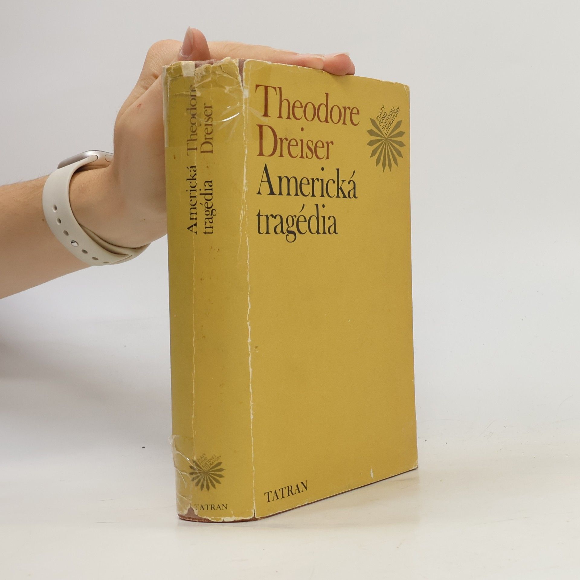 Theodore Dreiser Americká tragédia
