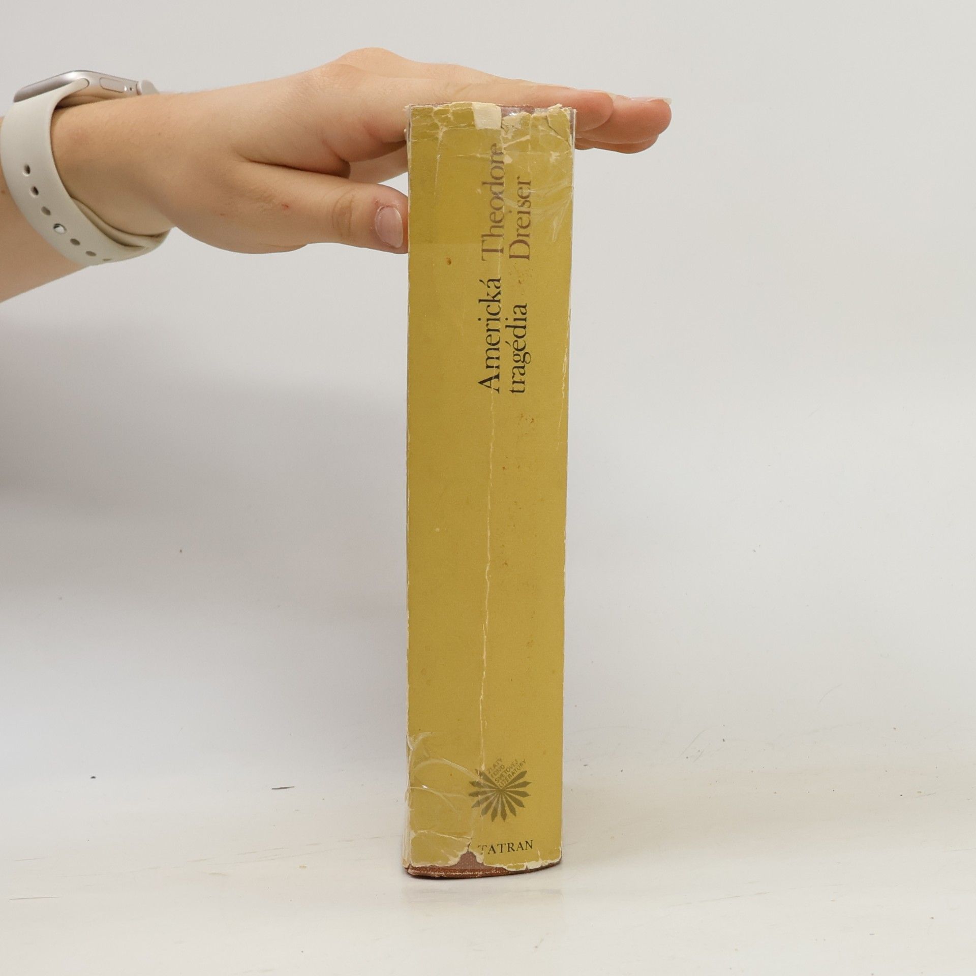 Theodore Dreiser Americká tragédia