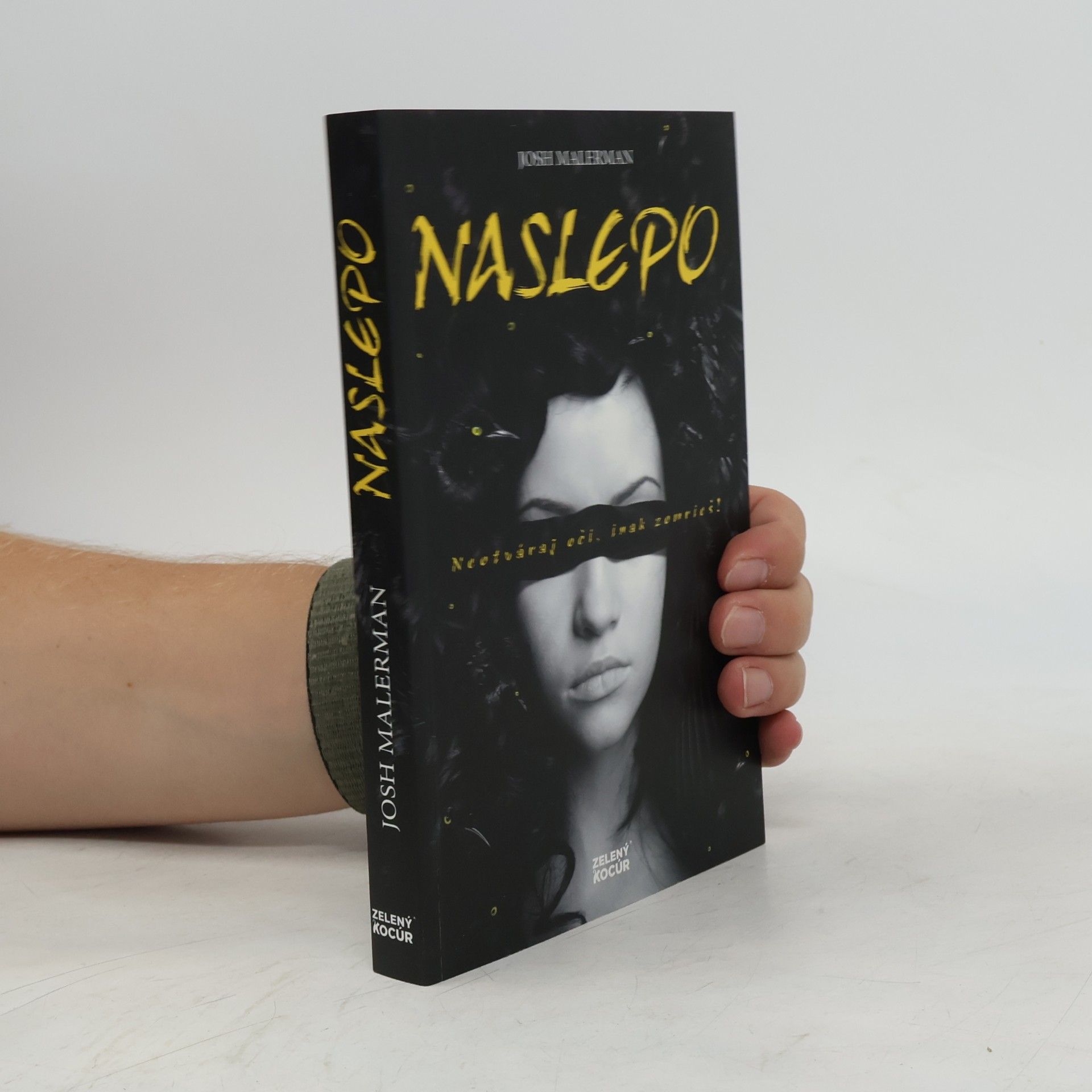 Josh Malerman Naslepo