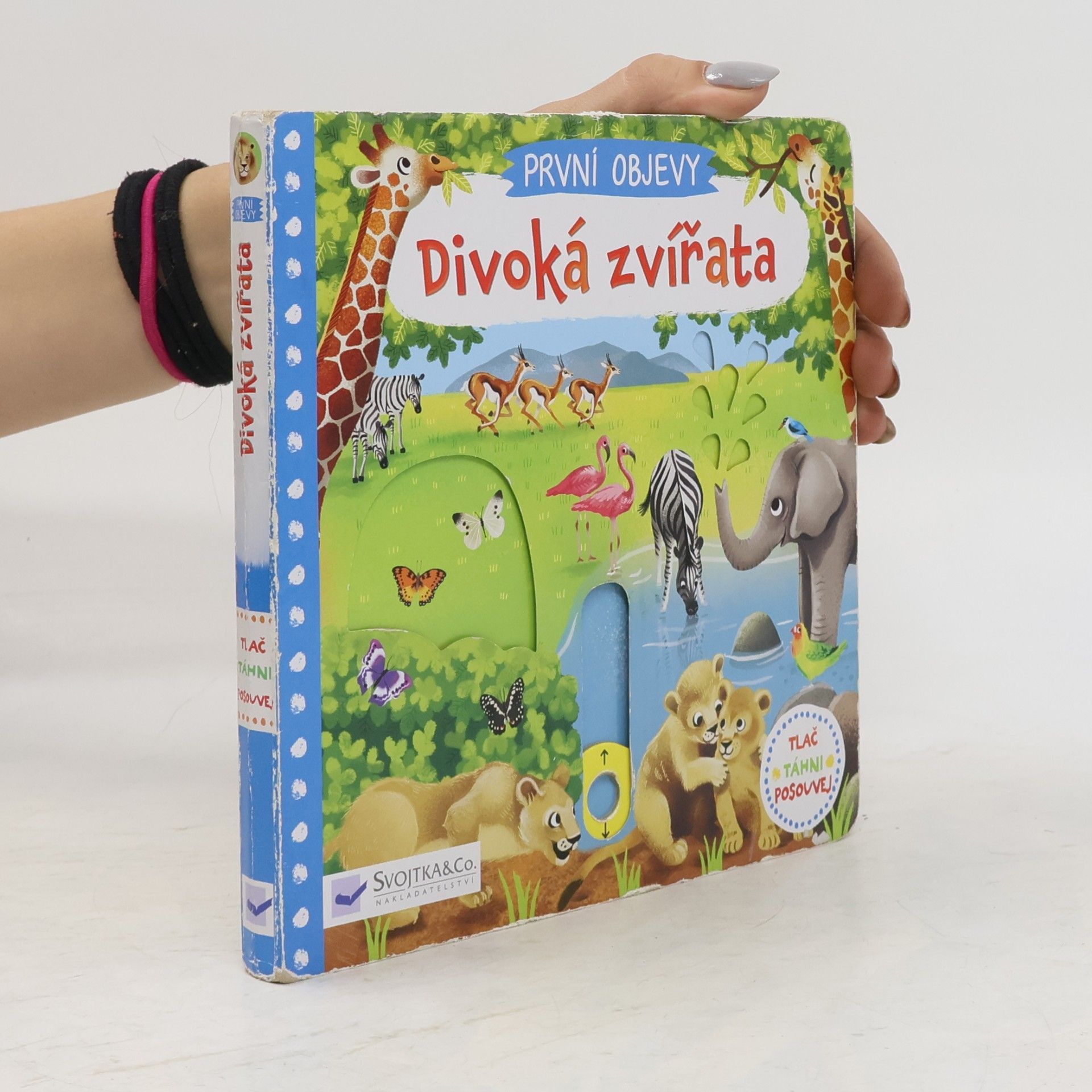 Jenny Wren Divoká zvířata