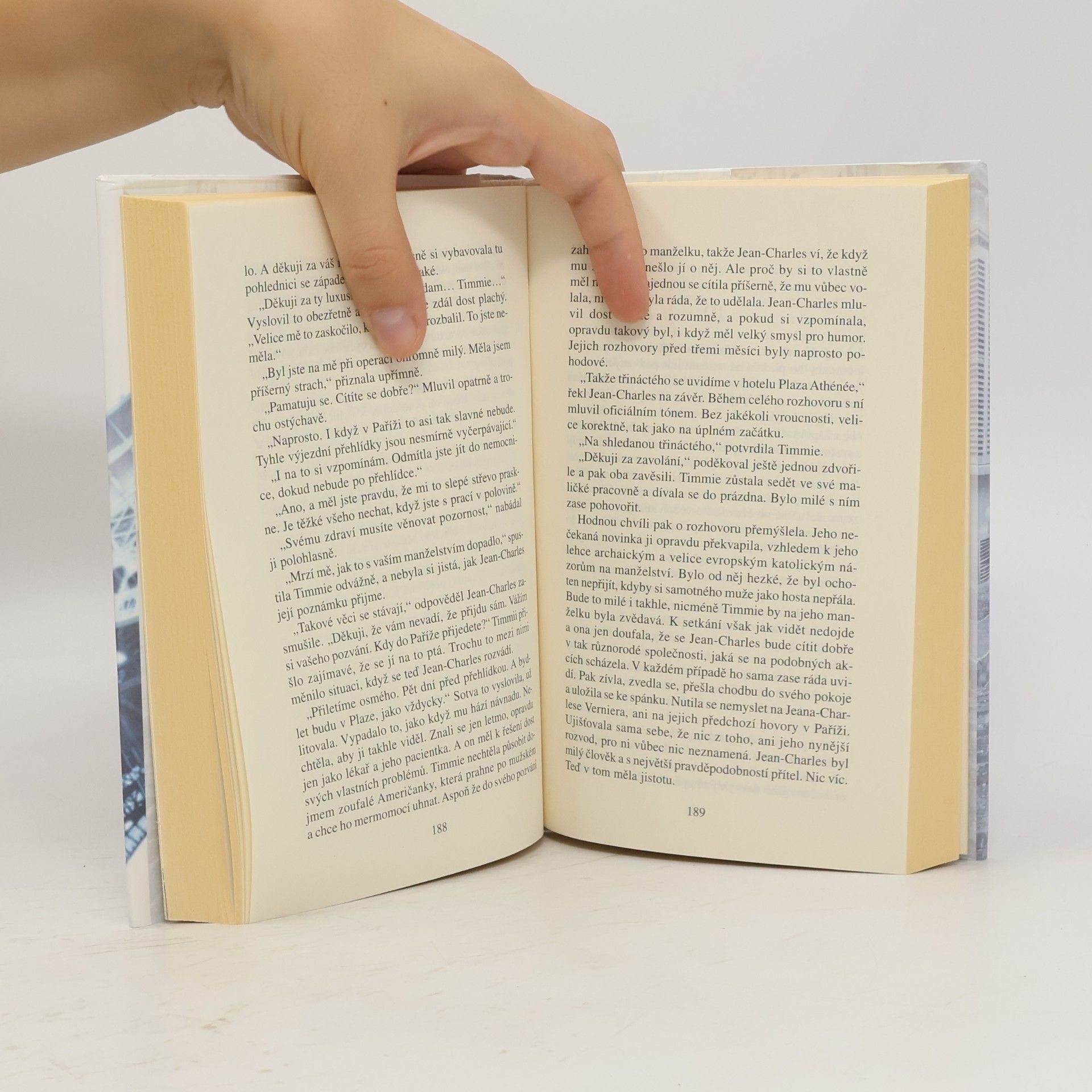 Danielle Steel Na první pohled