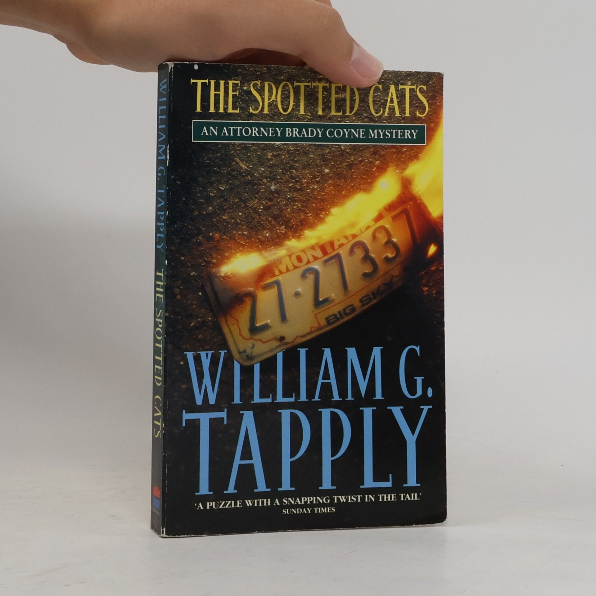 William G. Tapply Attorney Brady Coyne Mystery - 10: The Spotted Cats