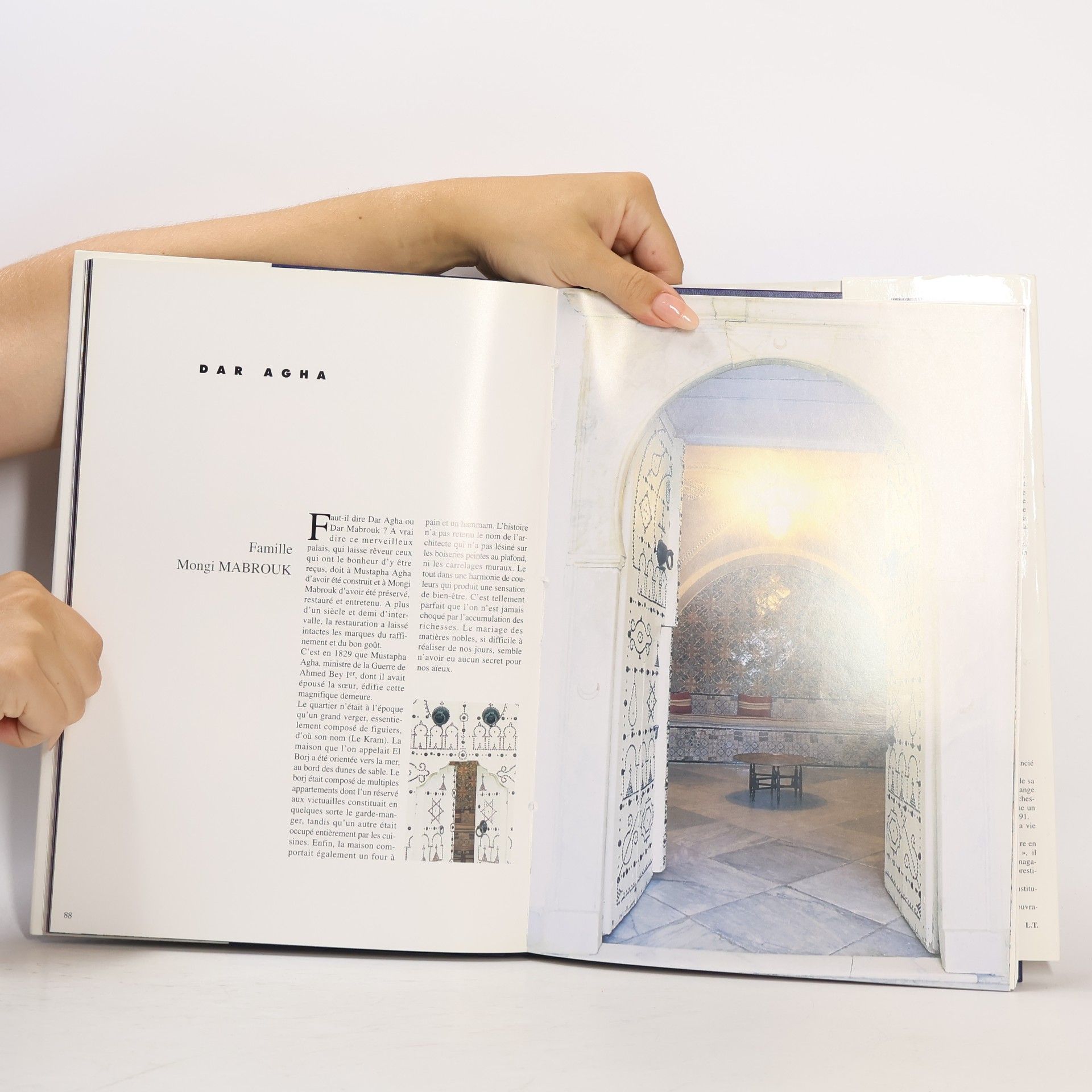 Collectif d'auteurs Maisons de Carthage