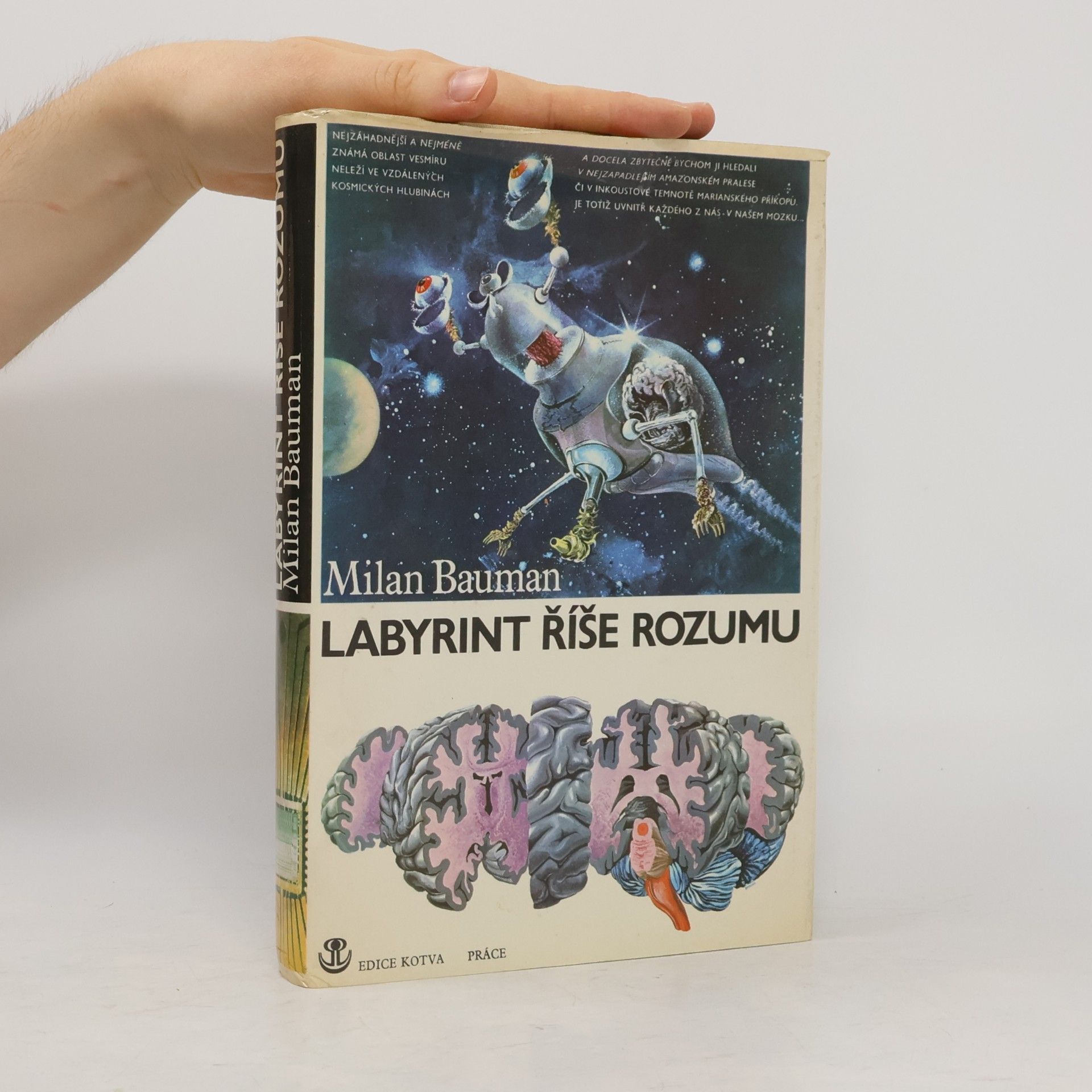 Milan Bauman Labyrint říše rozumu