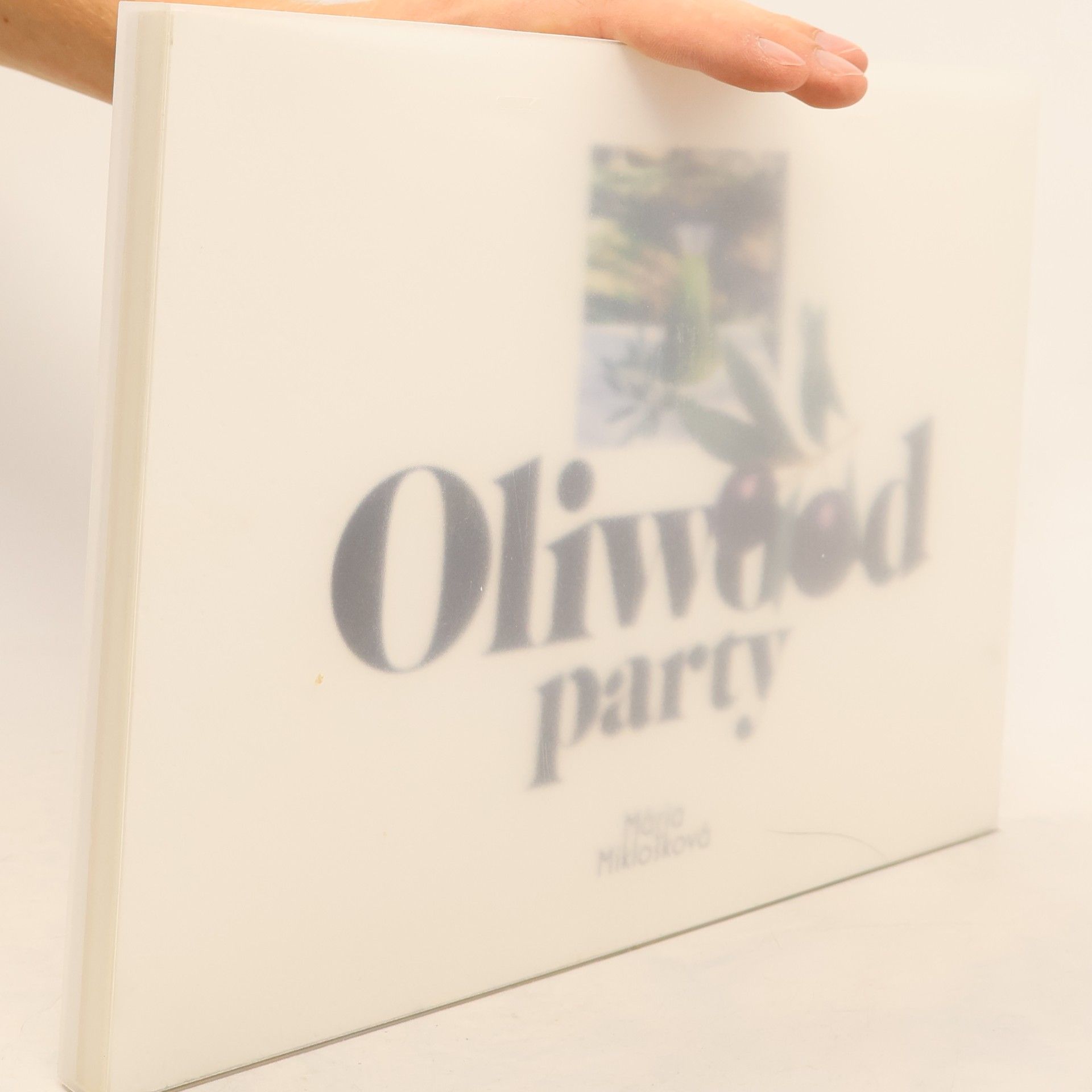 Mária Miklošková Oliwood party