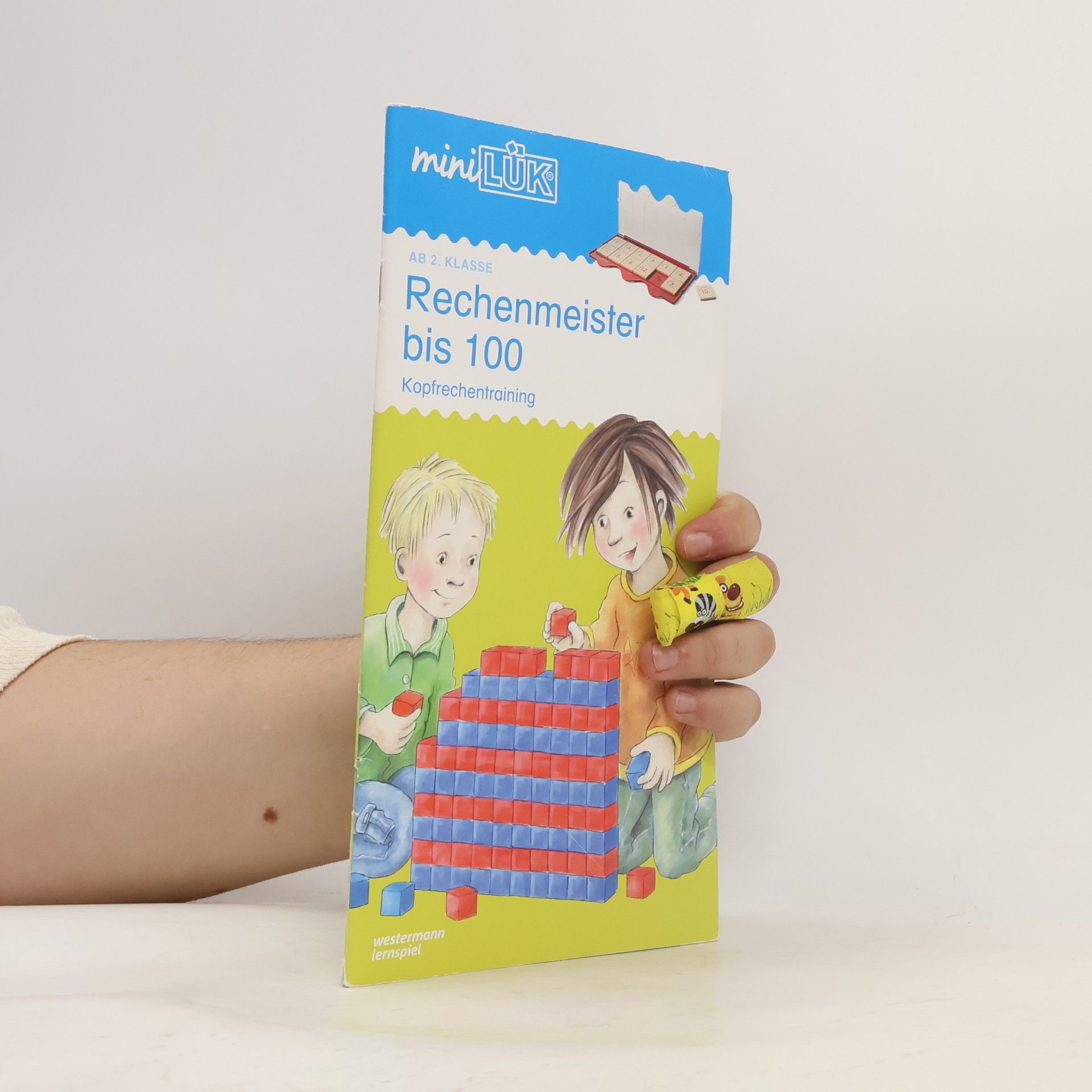 Michael Junga Rechenmeister bis 100