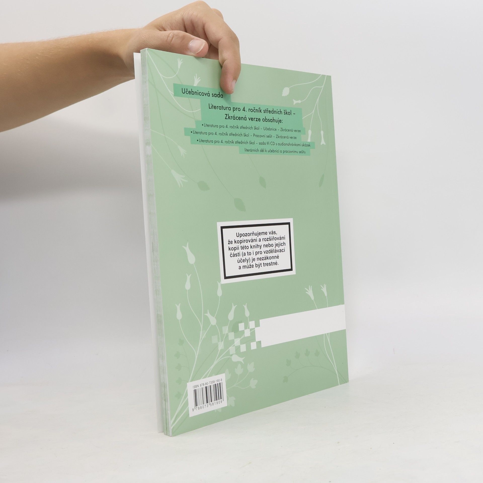 Denisa Nečasová Literatura pro 4. ročník středních škol. Pracovní sešit