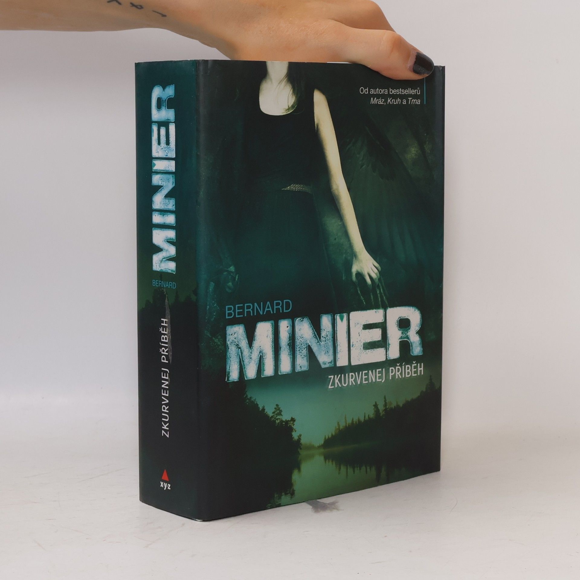 Bernard Minier Zkurvenej příběh