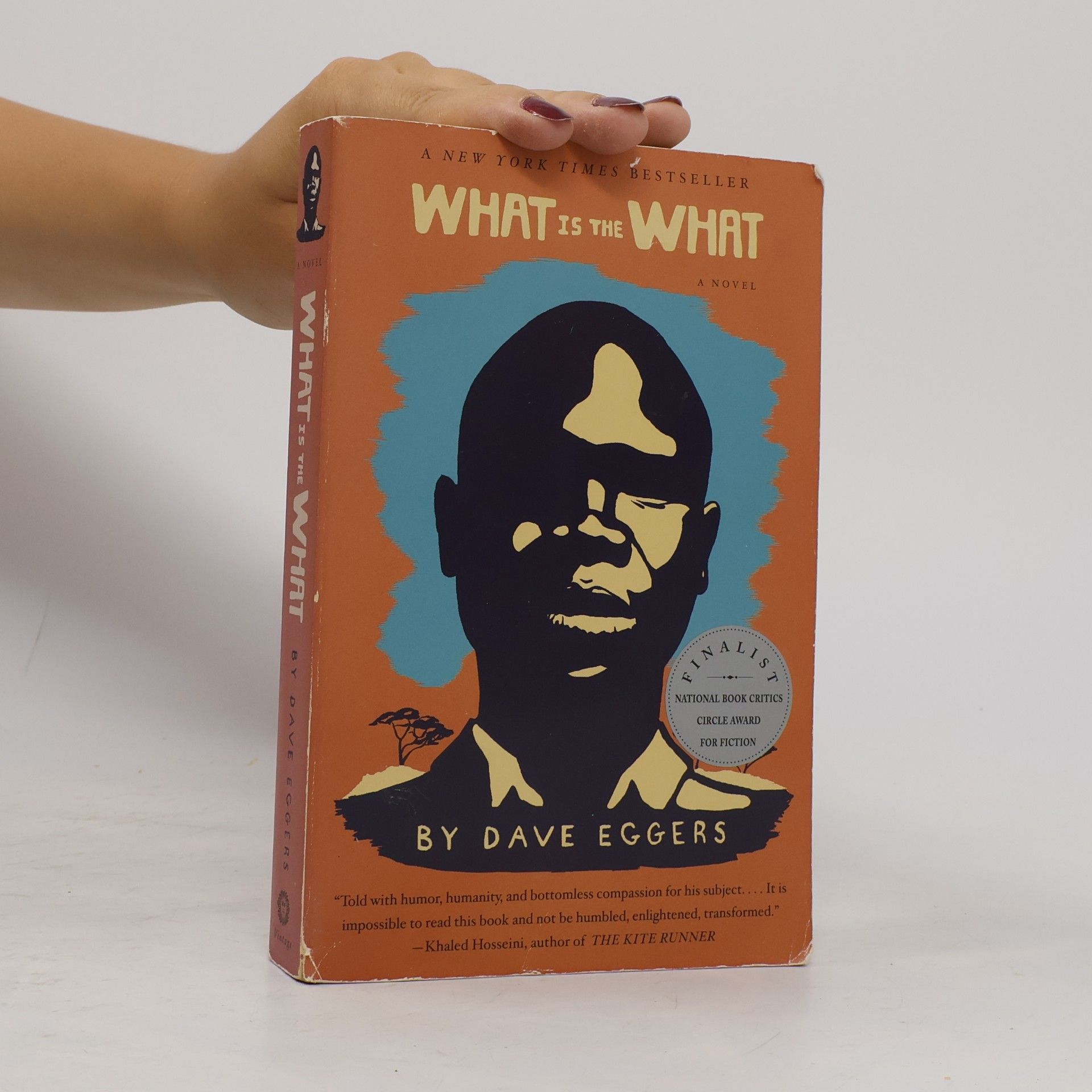 Dave Eggers What Is the What
