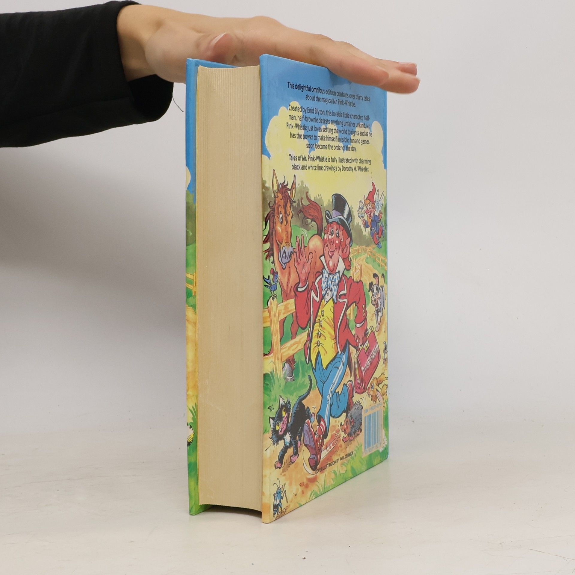 Enid Blyton Tales Of Mr. Pink-Whistle