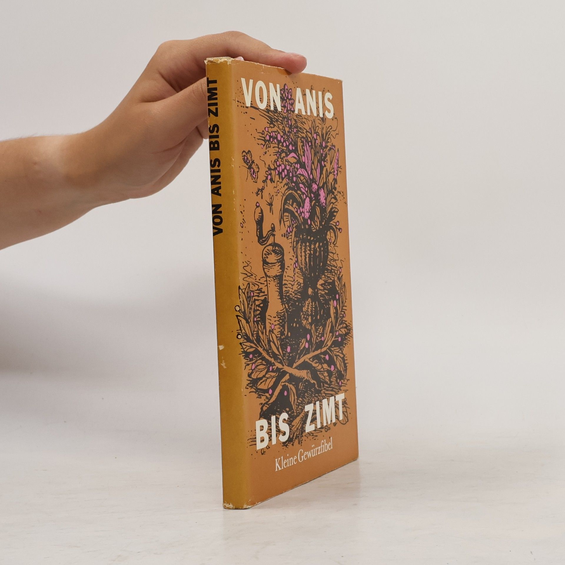 Autorenkollektiv Von Anis bis Zimt. Kleine Gewürzfibel