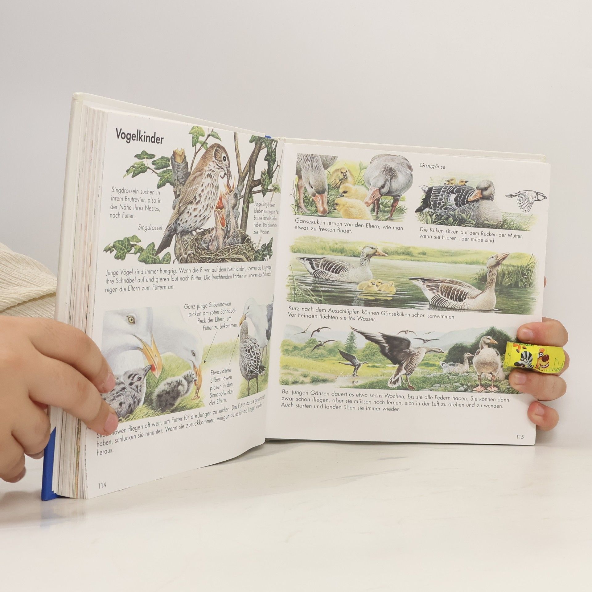 Ravensburger Buchverlag Alles was ich wissen will