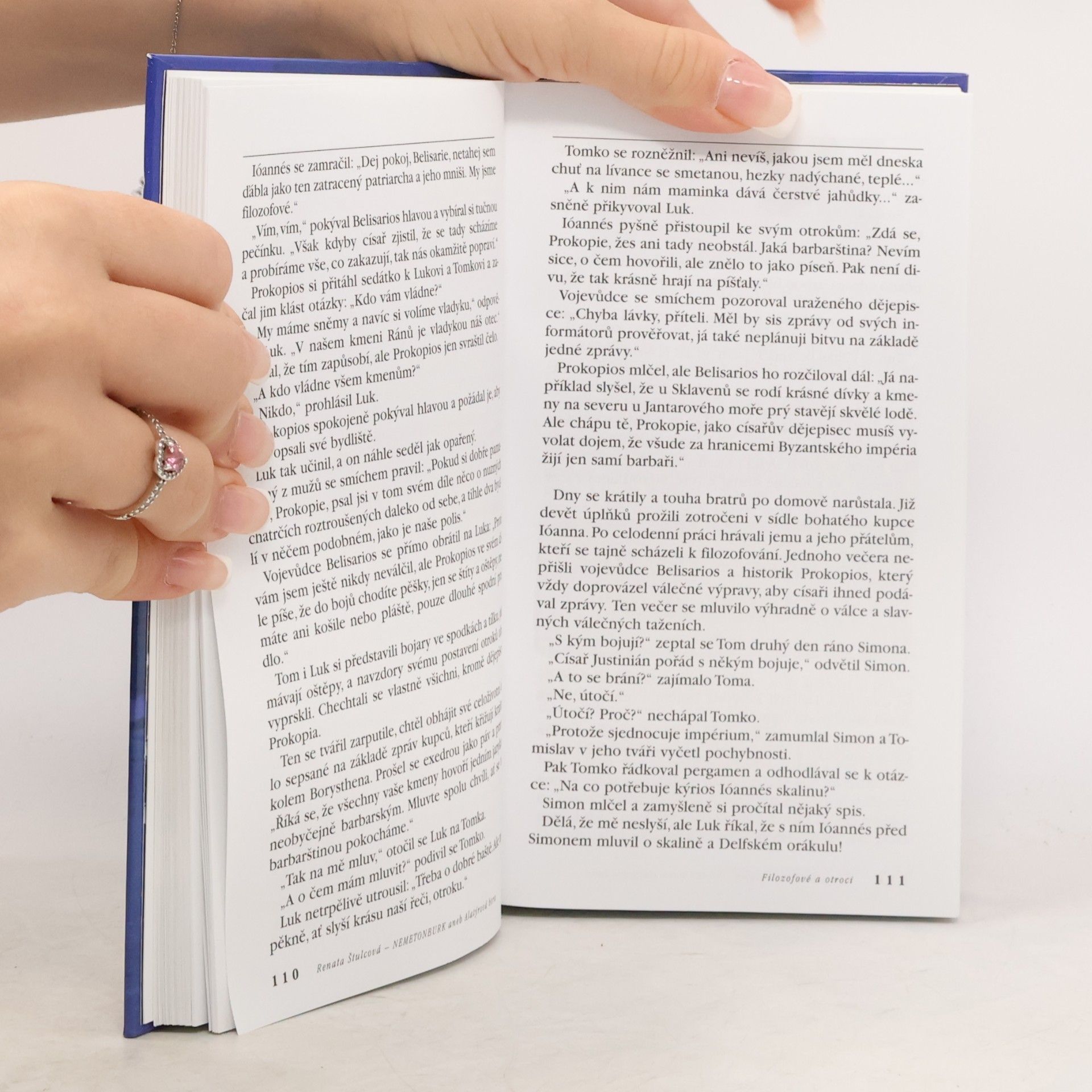 Renata Štulcová Nemetonburk aneb Alatýrová hora