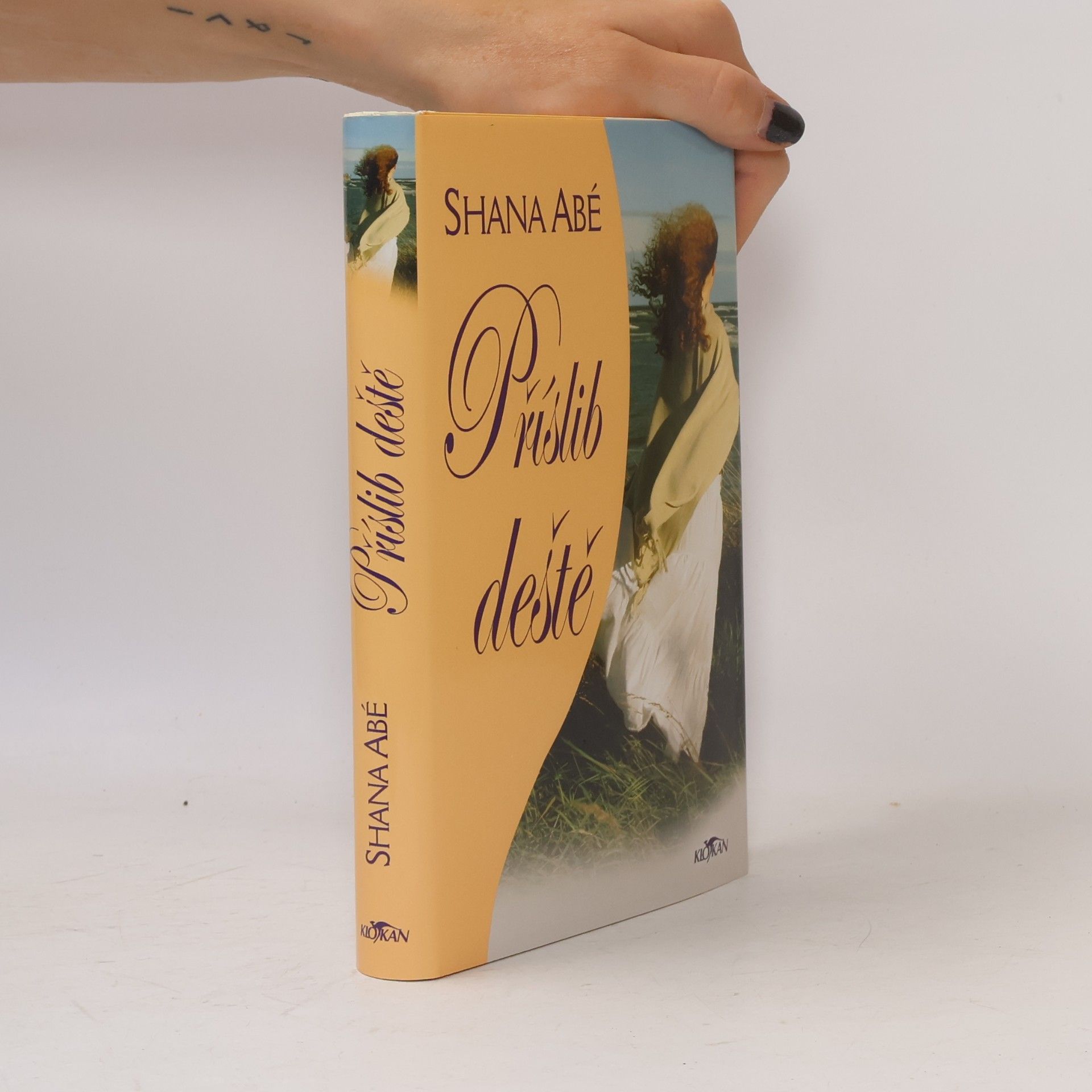 Shana Abé Příslib deště