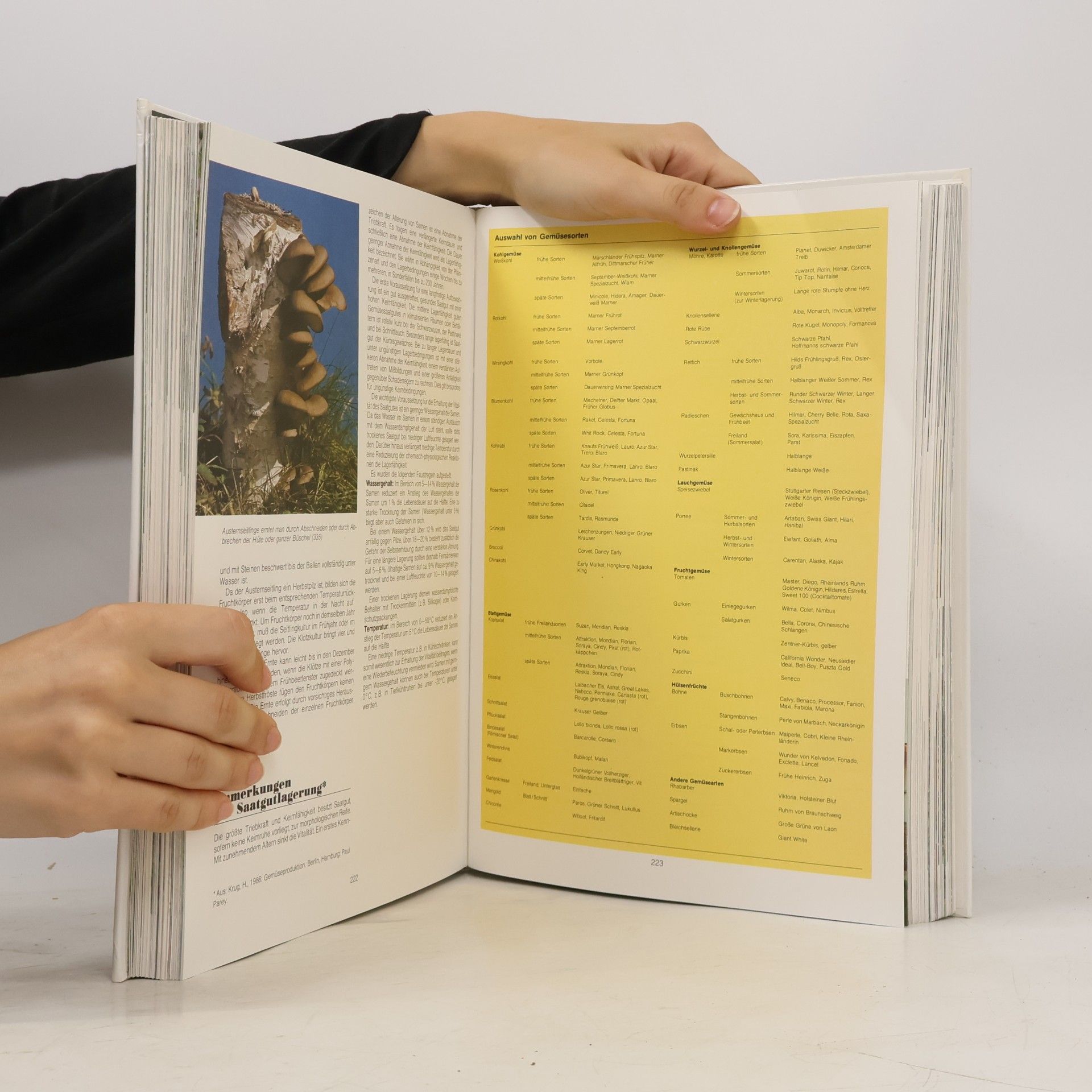Cestmír Böhm Pareys Gartenhandbuch