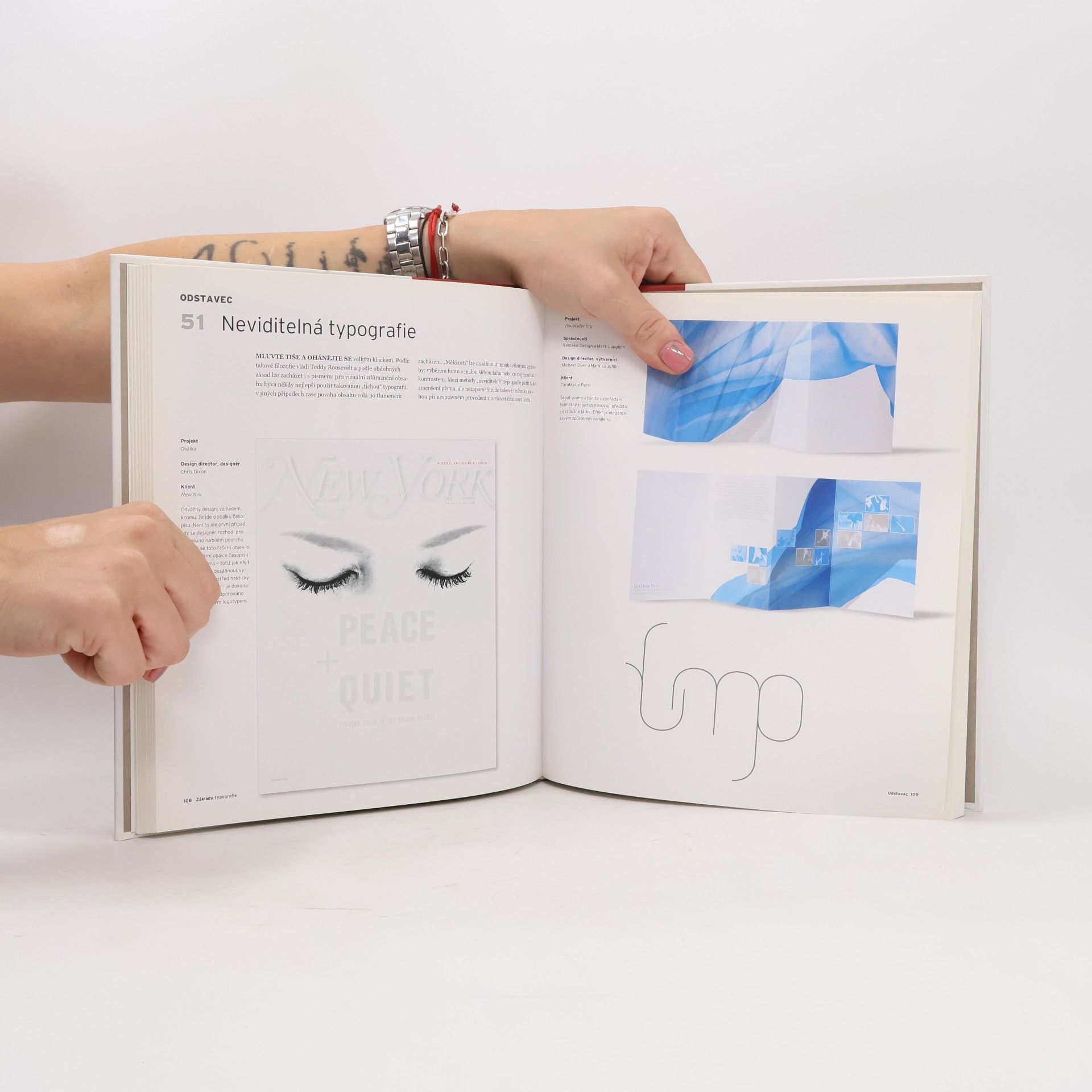Ina Saltz Základy typografie