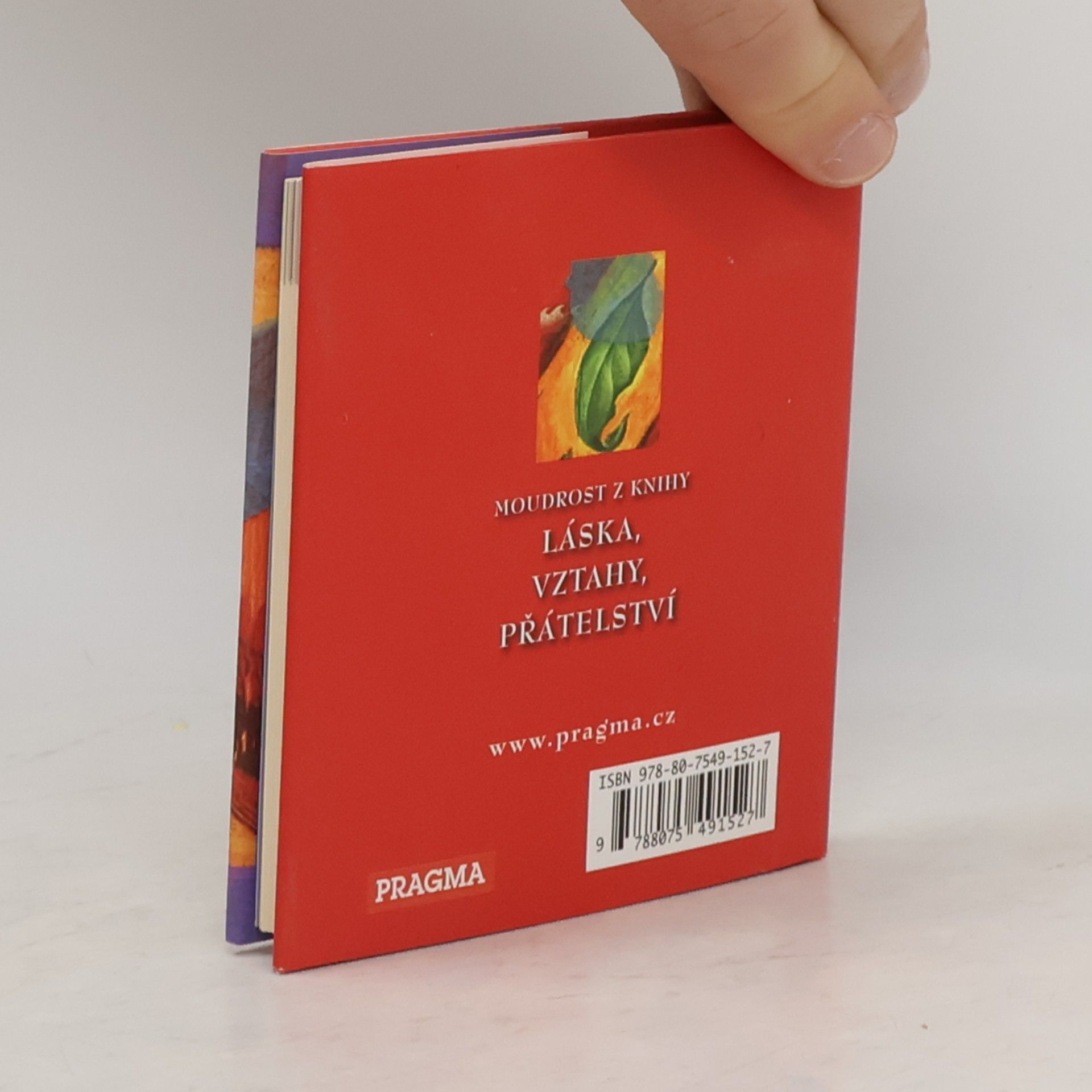 Don Miguel Ruiz Moudrost z knihy Láska, vztahy, přátelství