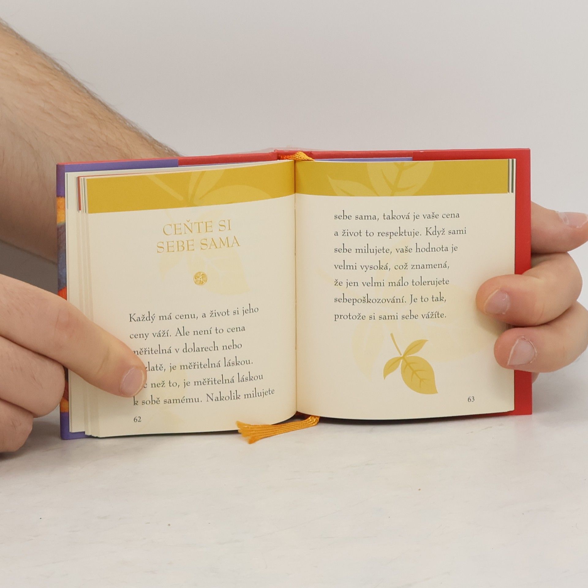 Don Miguel Ruiz Moudrost z knihy Láska, vztahy, přátelství