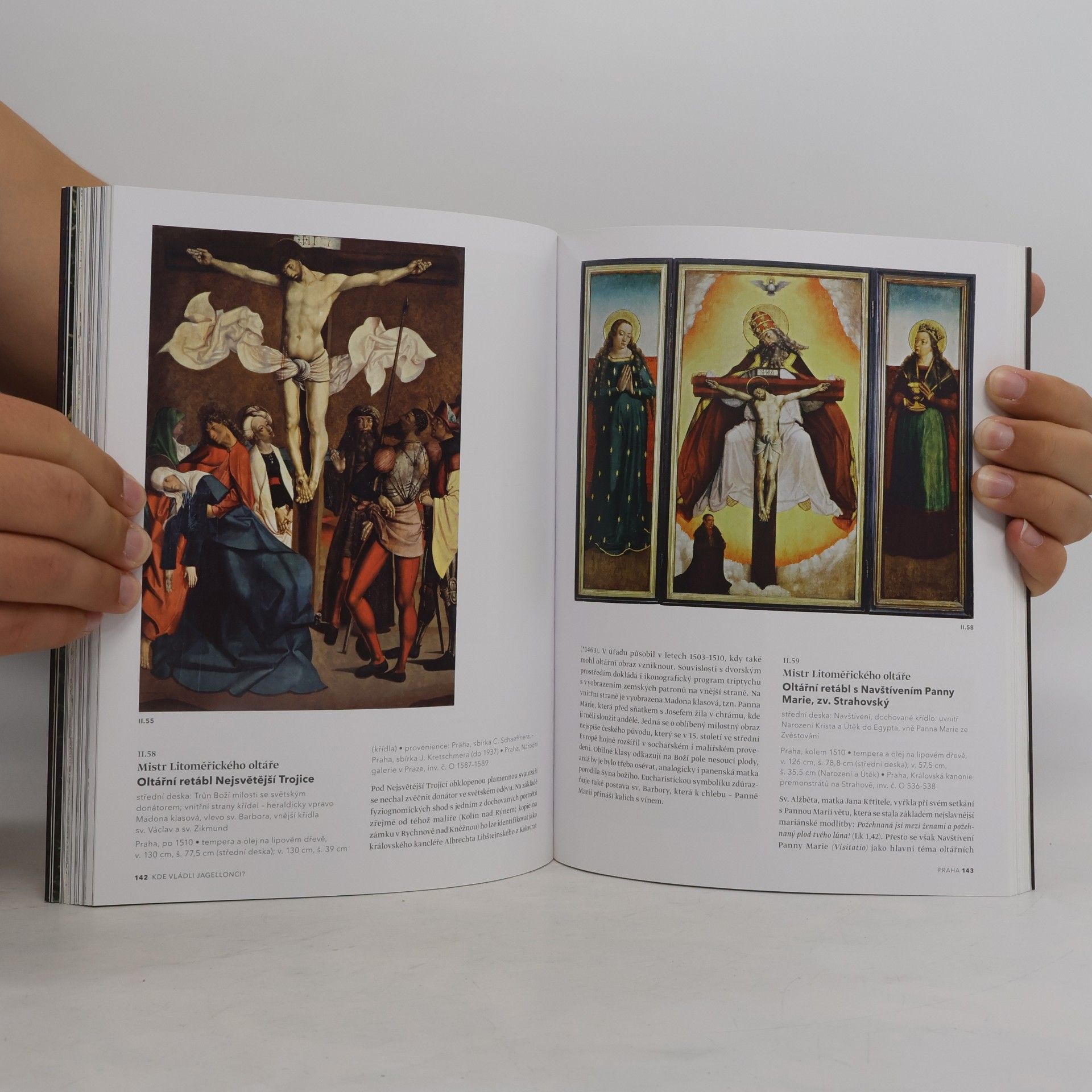 Jiří Fajt Europa Jagellonica 1386-1572 : umění a kultura ve střední Evropě za vlády Jagellonců