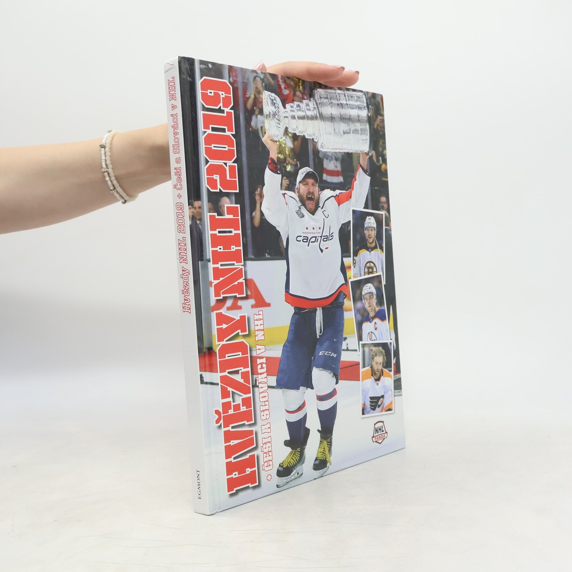 Various authors Hvězdy NHL 2019 + Češi a Slováci v NHL