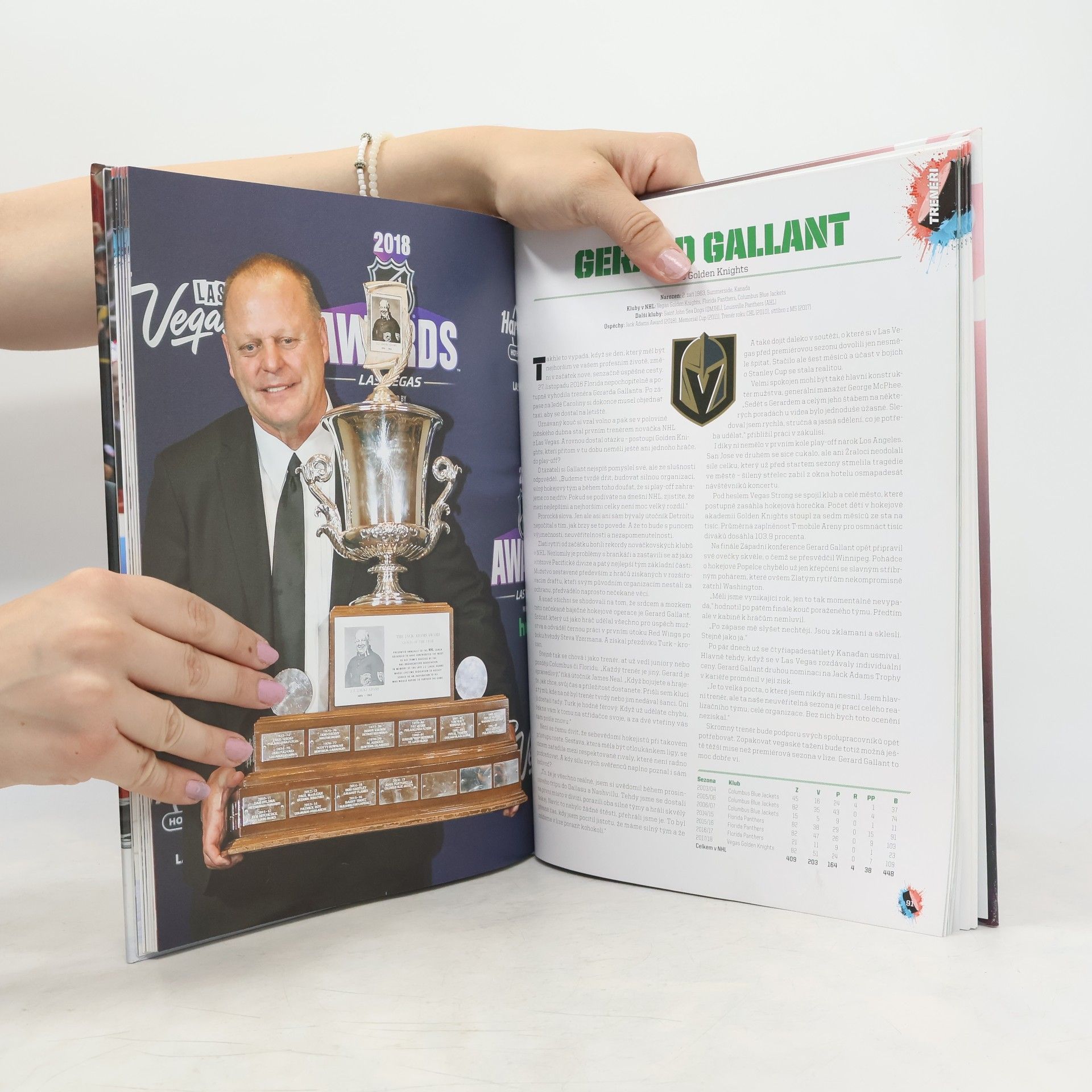 Autorenkollektiv Hvězdy NHL 2019 + Češi a Slováci v NHL