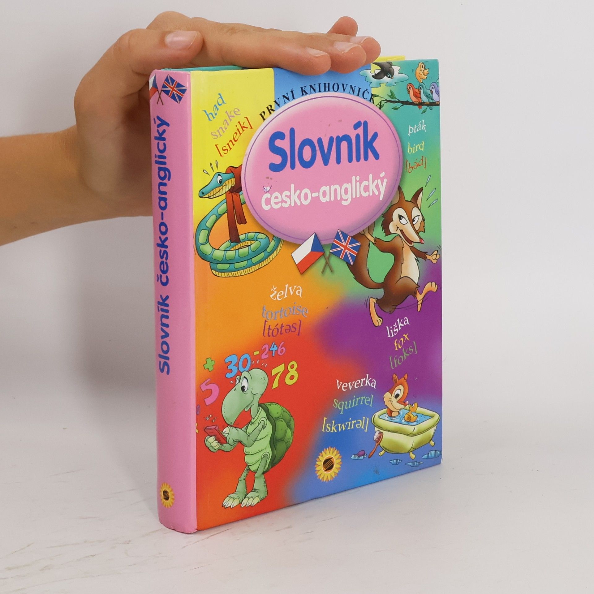 Autorenkollektiv Slovník česko-anglický