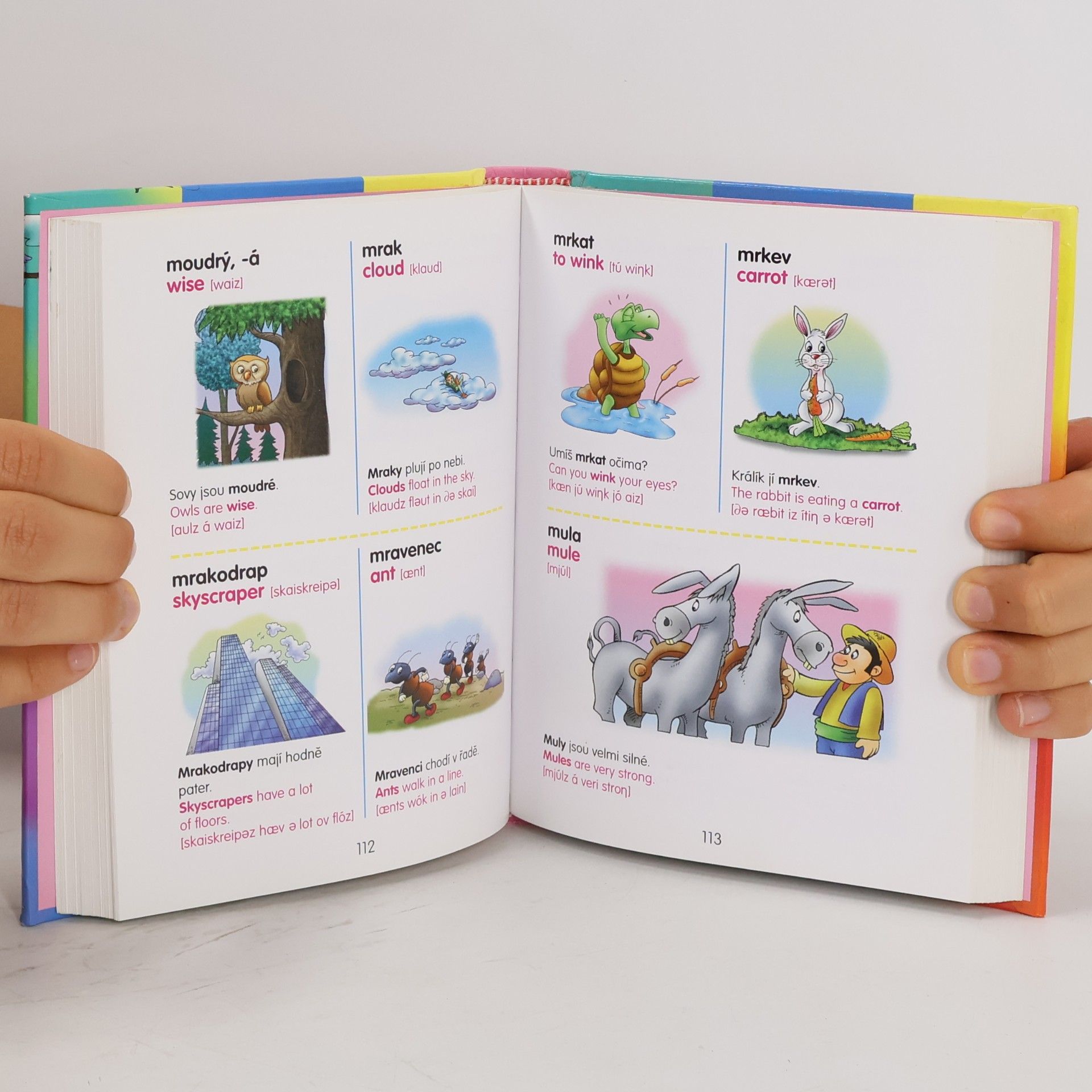 Autorenkollektiv Slovník česko-anglický