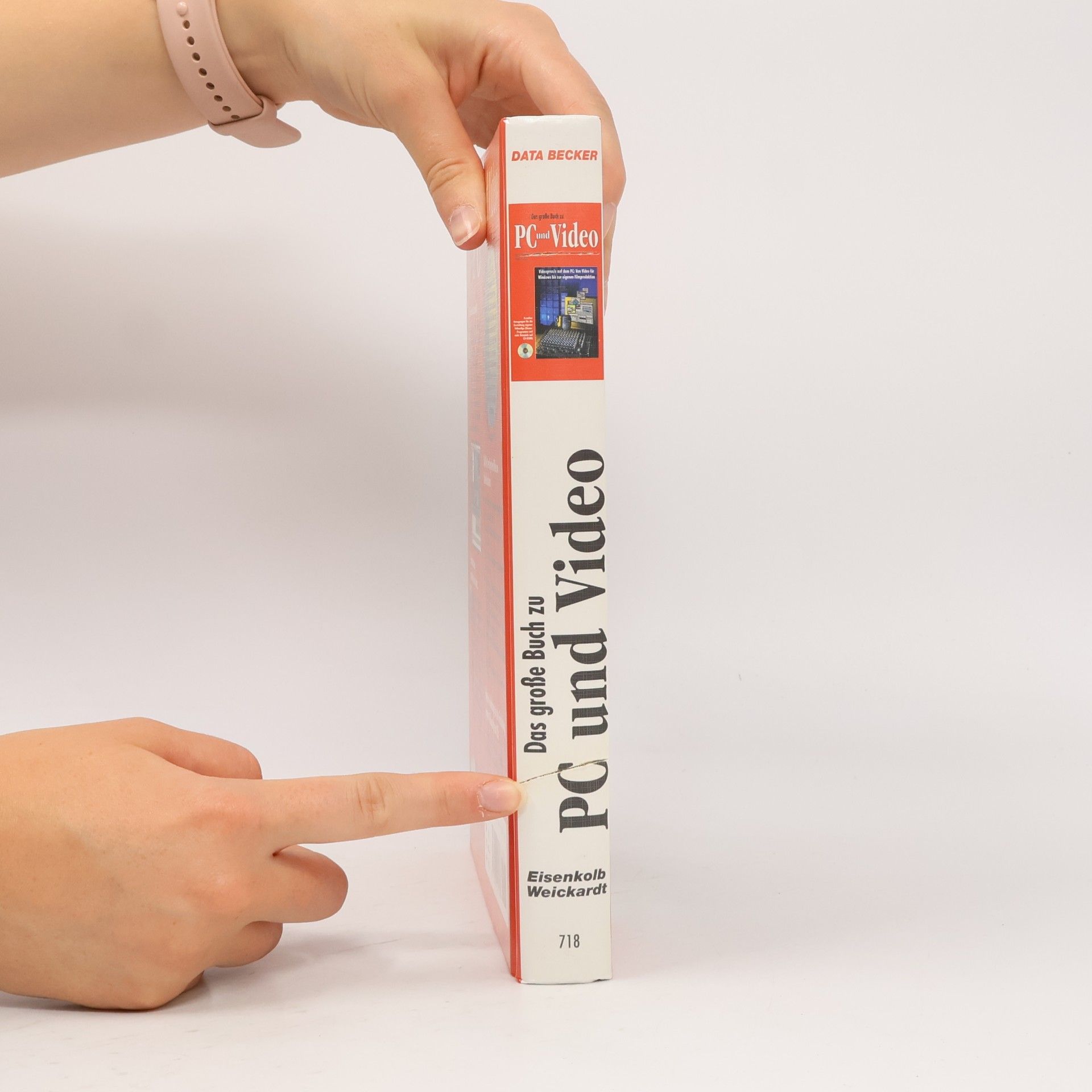 Kerstin Eisenkolb Das grosse Buch zu PC und Video